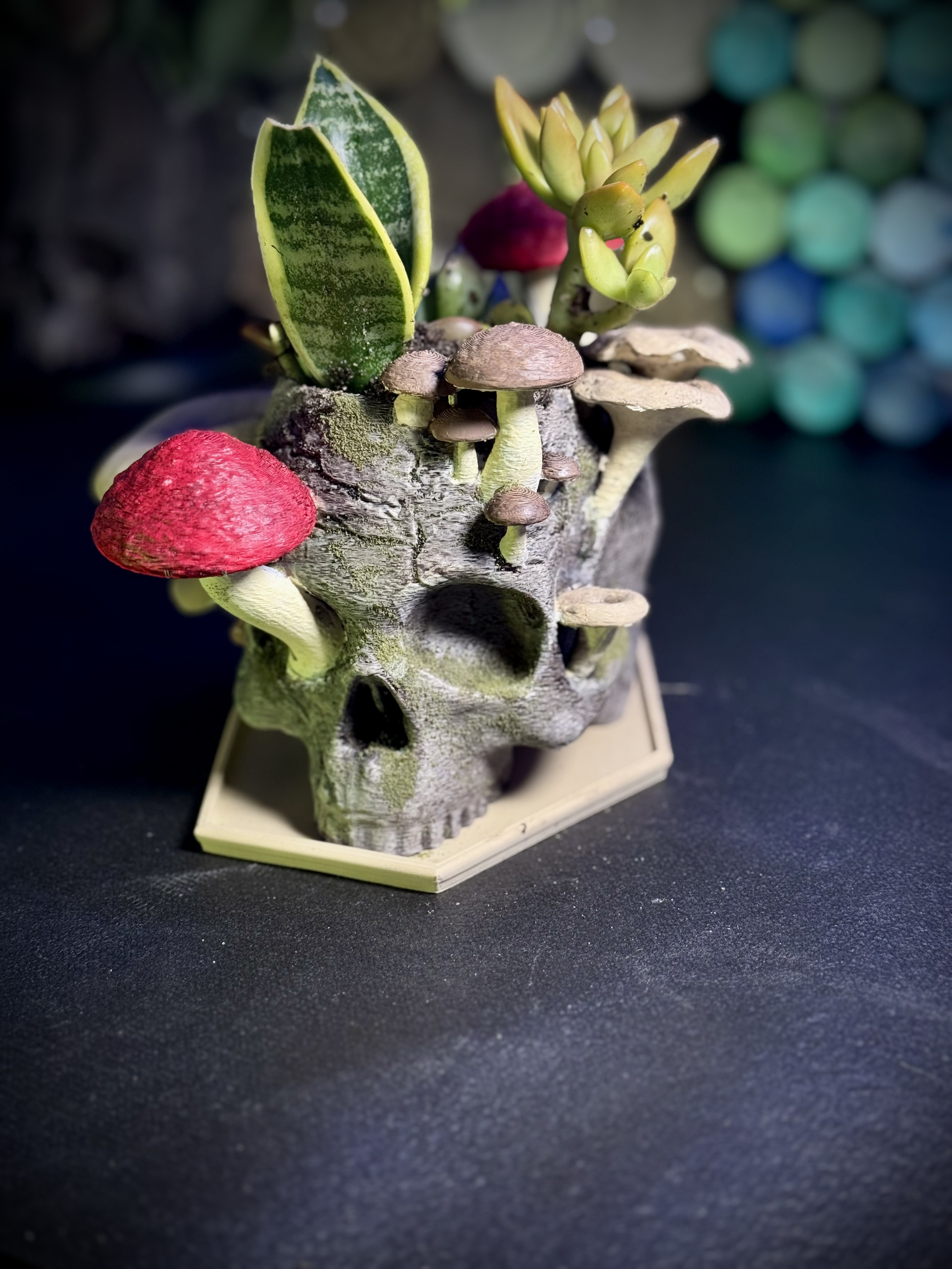 Reclaimed skull planter