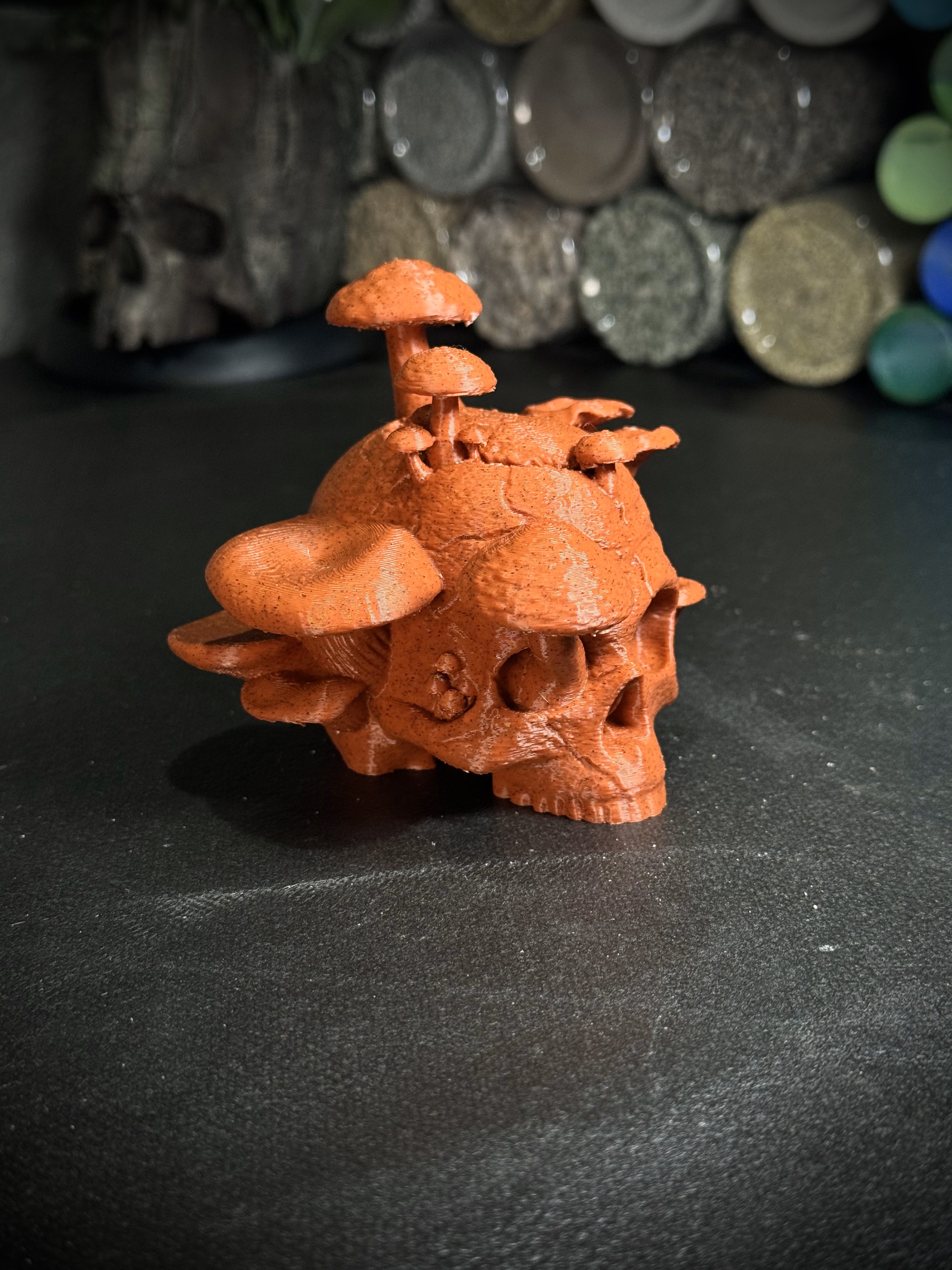 The Reclaimed Skull