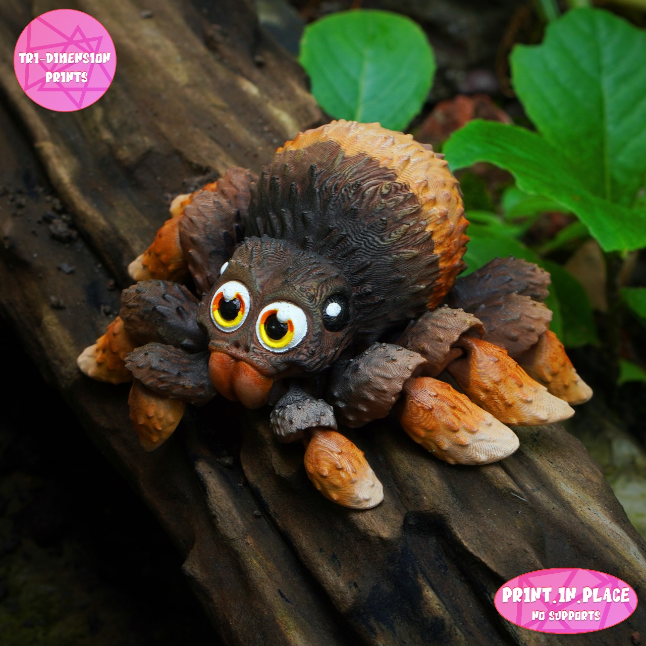 Flexi Spider