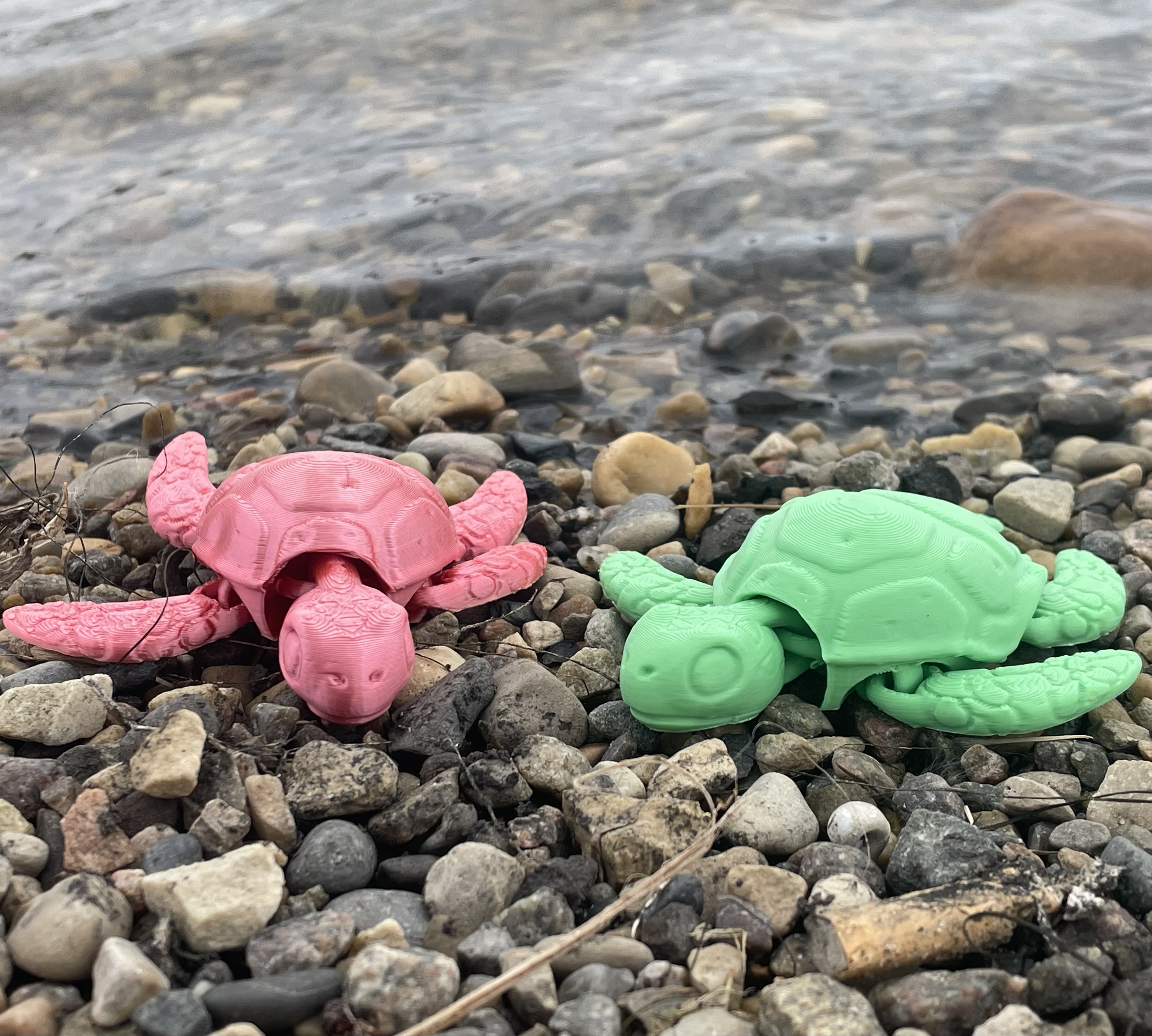 baby articulated turtle