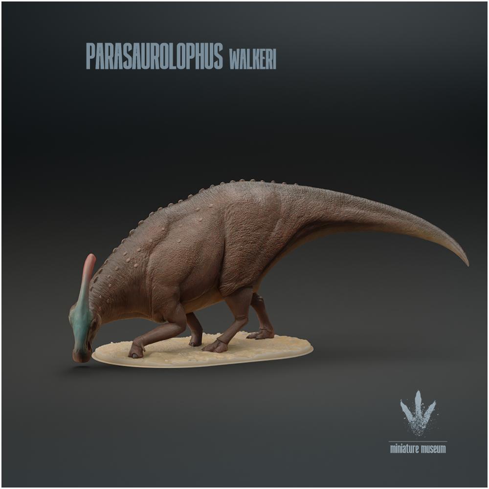 Parasaurolophus walkeri : Feeding