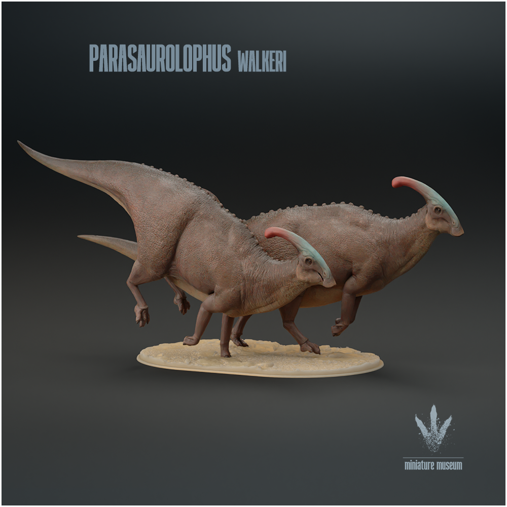 Parasaurolophus walkeri : Run