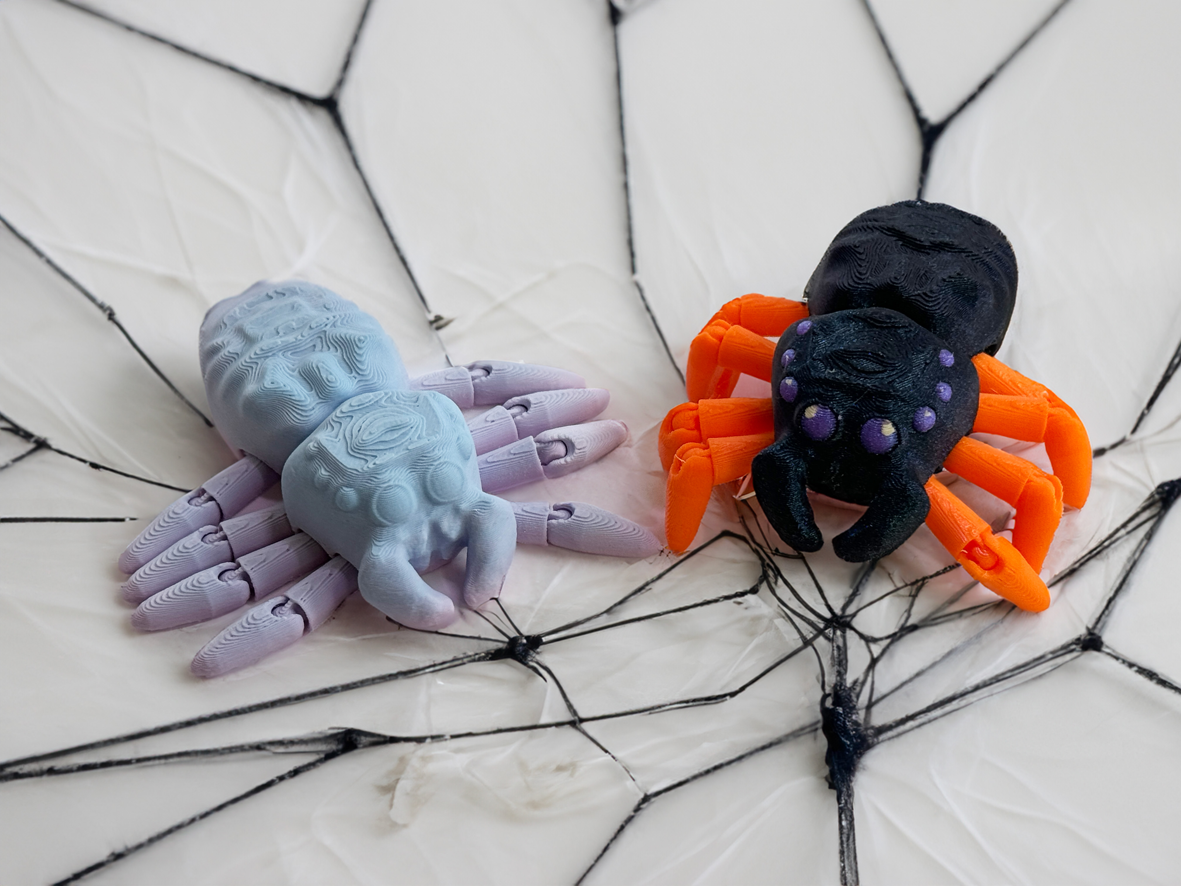 Skeletorus Jumping Spider