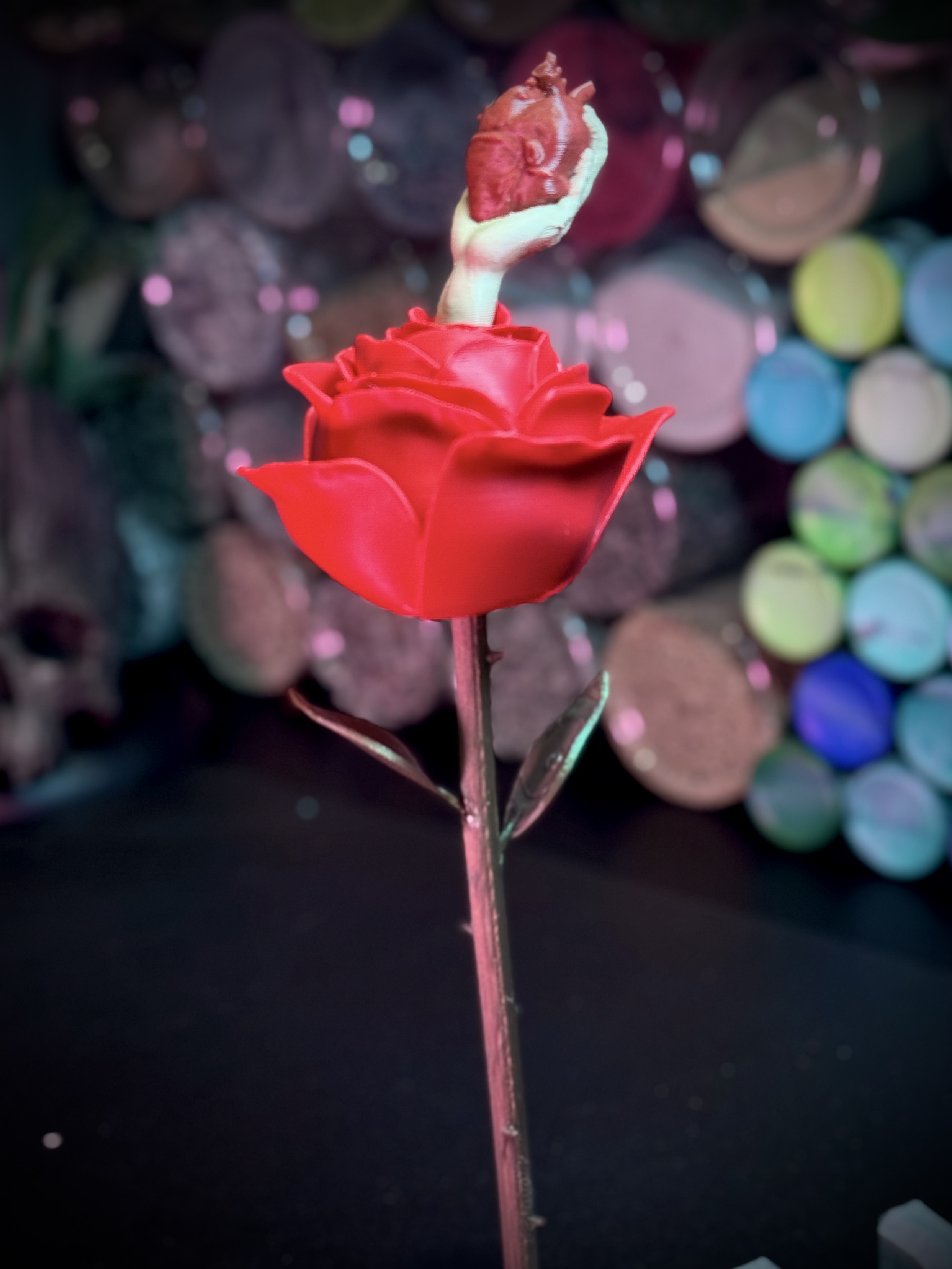 Rose of life
