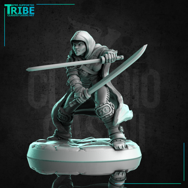 (0250) Female human elf tiefling half-orc firbolg assassin rogue thief with two swords or knives