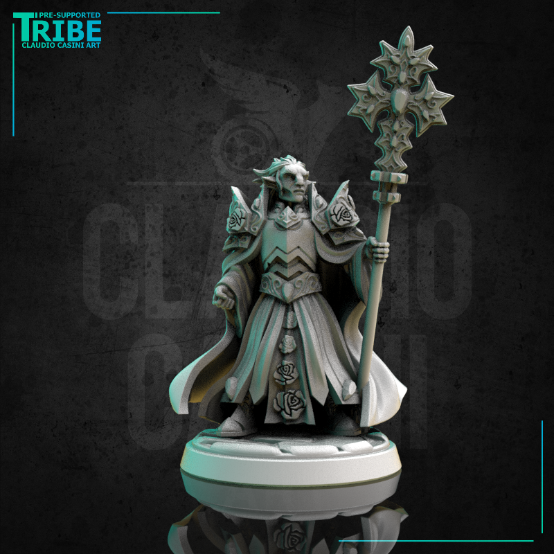 (0255) Male human elf firbolg tiefling half-orc cleric paladin with a magic staf complete armor and cape