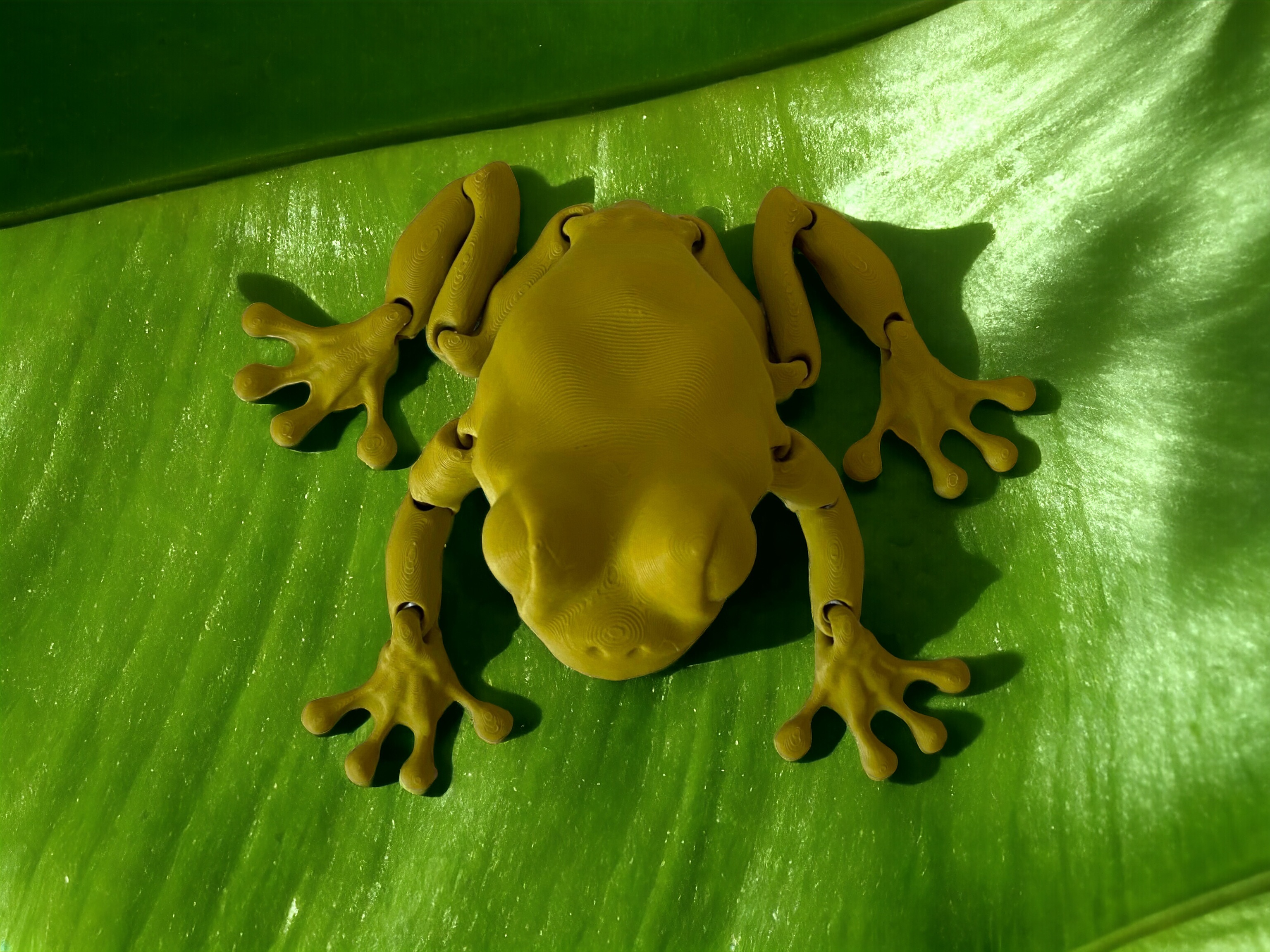 Articulated Clean Frog