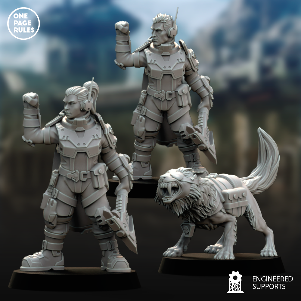 Company Leader (Enforcer) - Human Defense Force