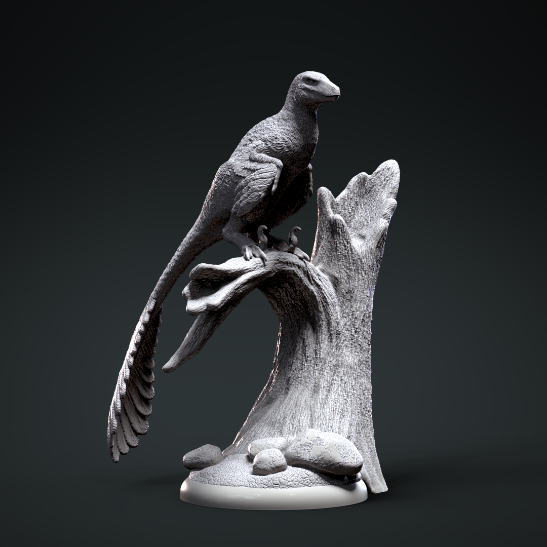 Deinonychus 4