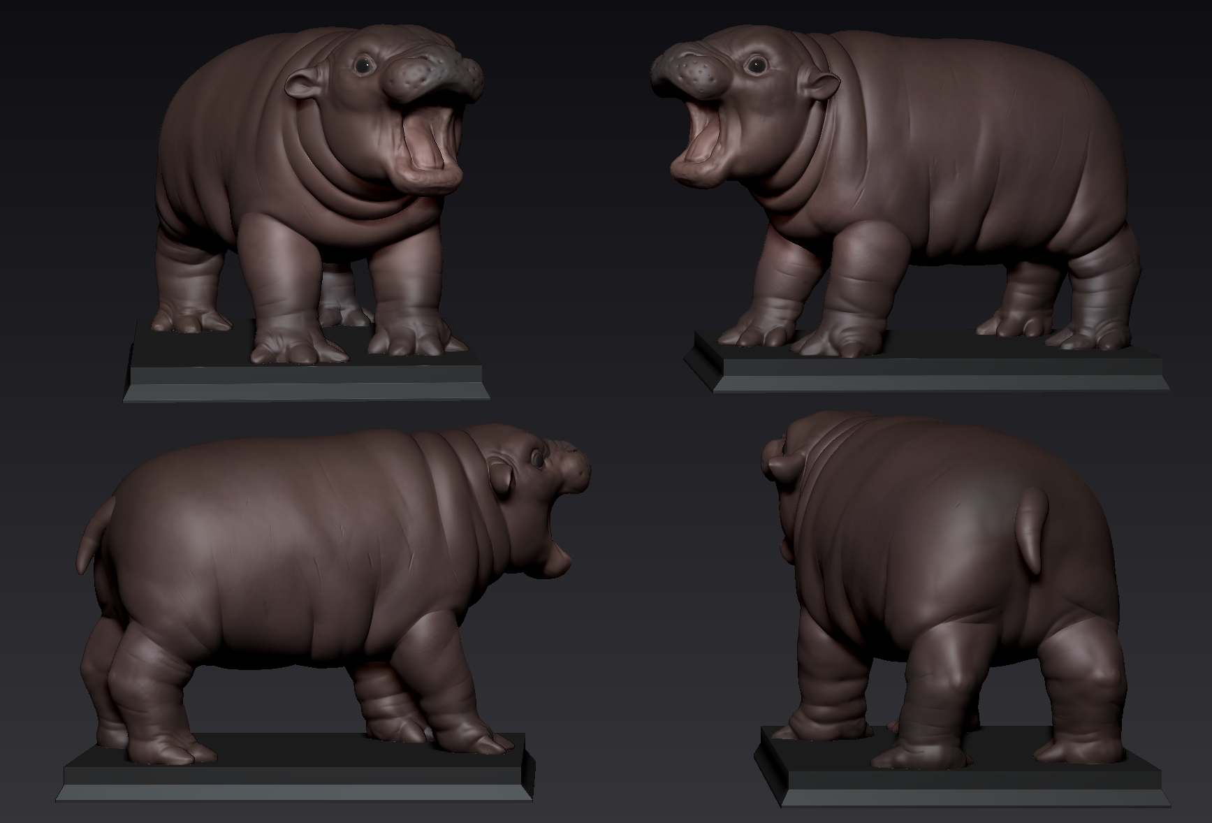 Hippo baby