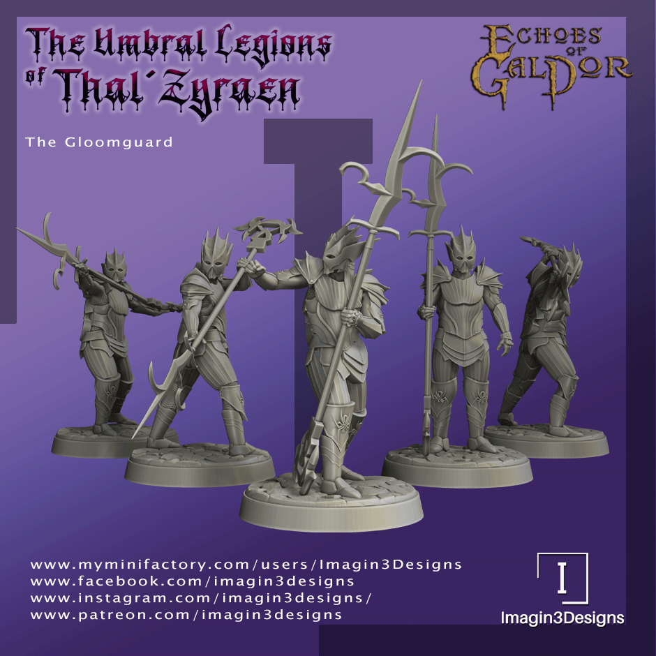 The Gloomguard (Drow soldiers)