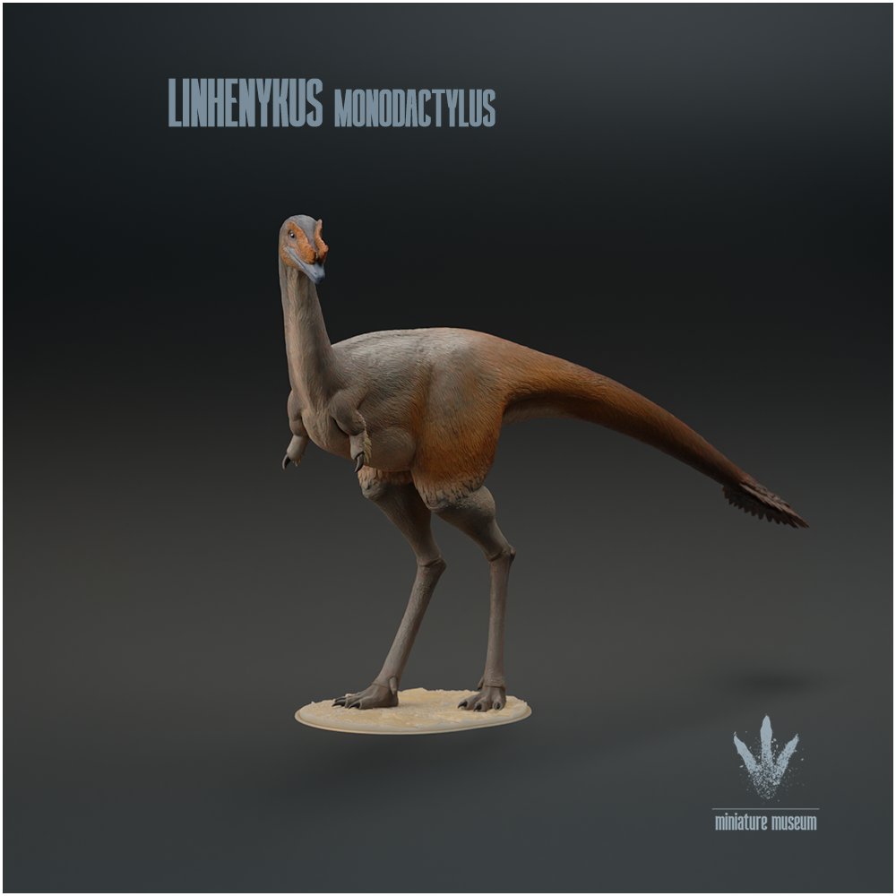 Linhenykus monodactylus : The Single Fingered Lizard