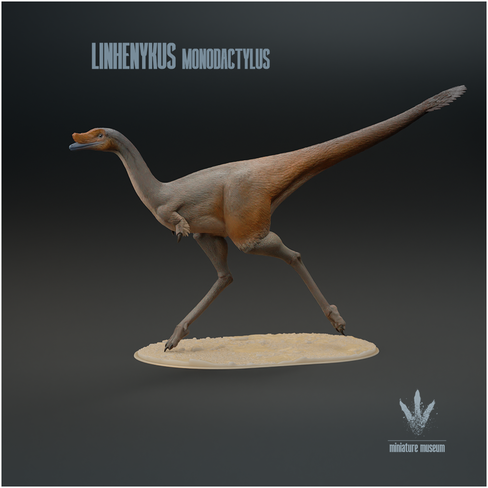 Linhenykus monodactylus : Running