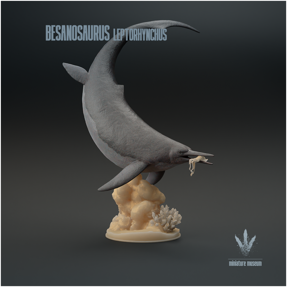 Besanosaurus leptorhynchus : Feeding