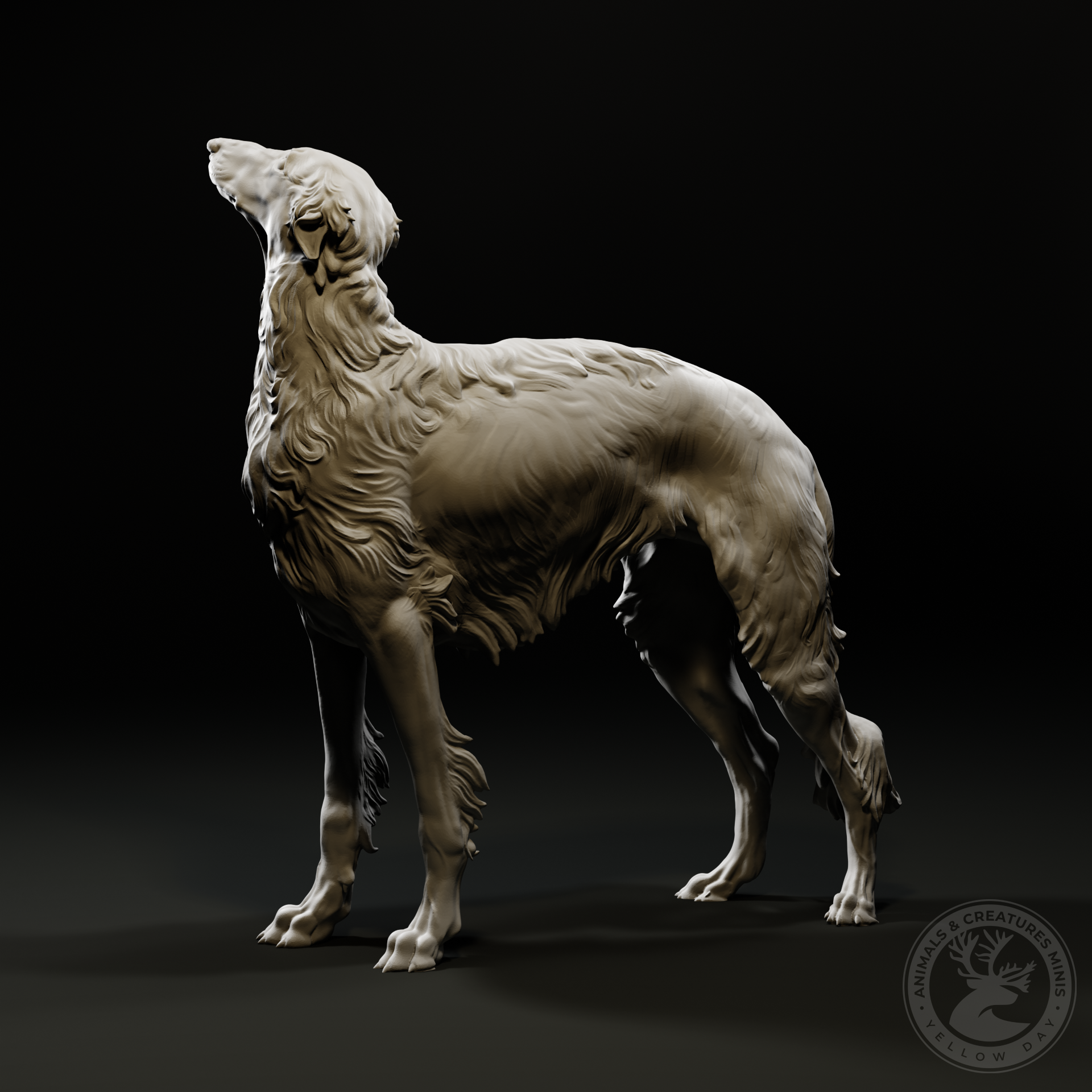 Borzoi