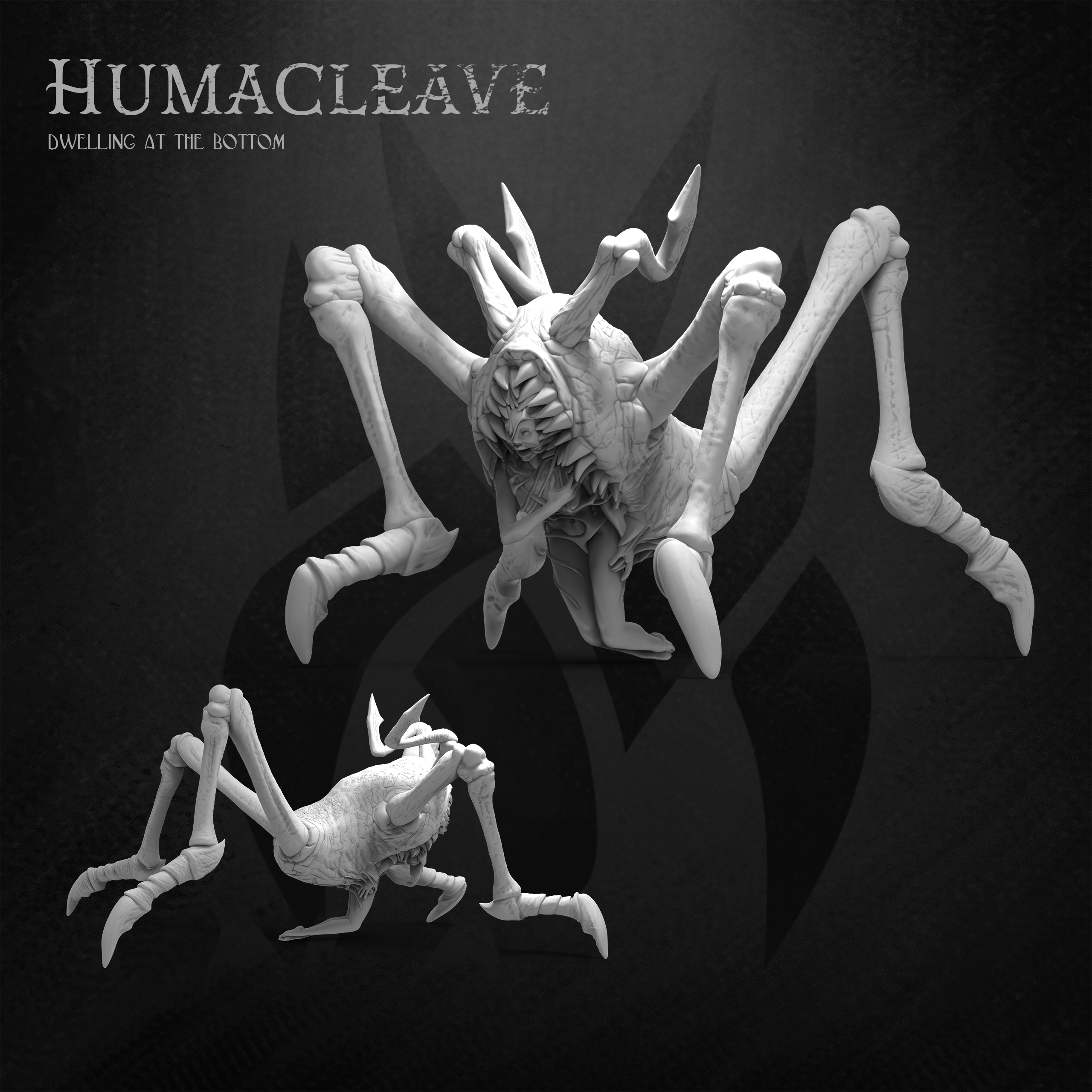 October 2024 - Humacleave
