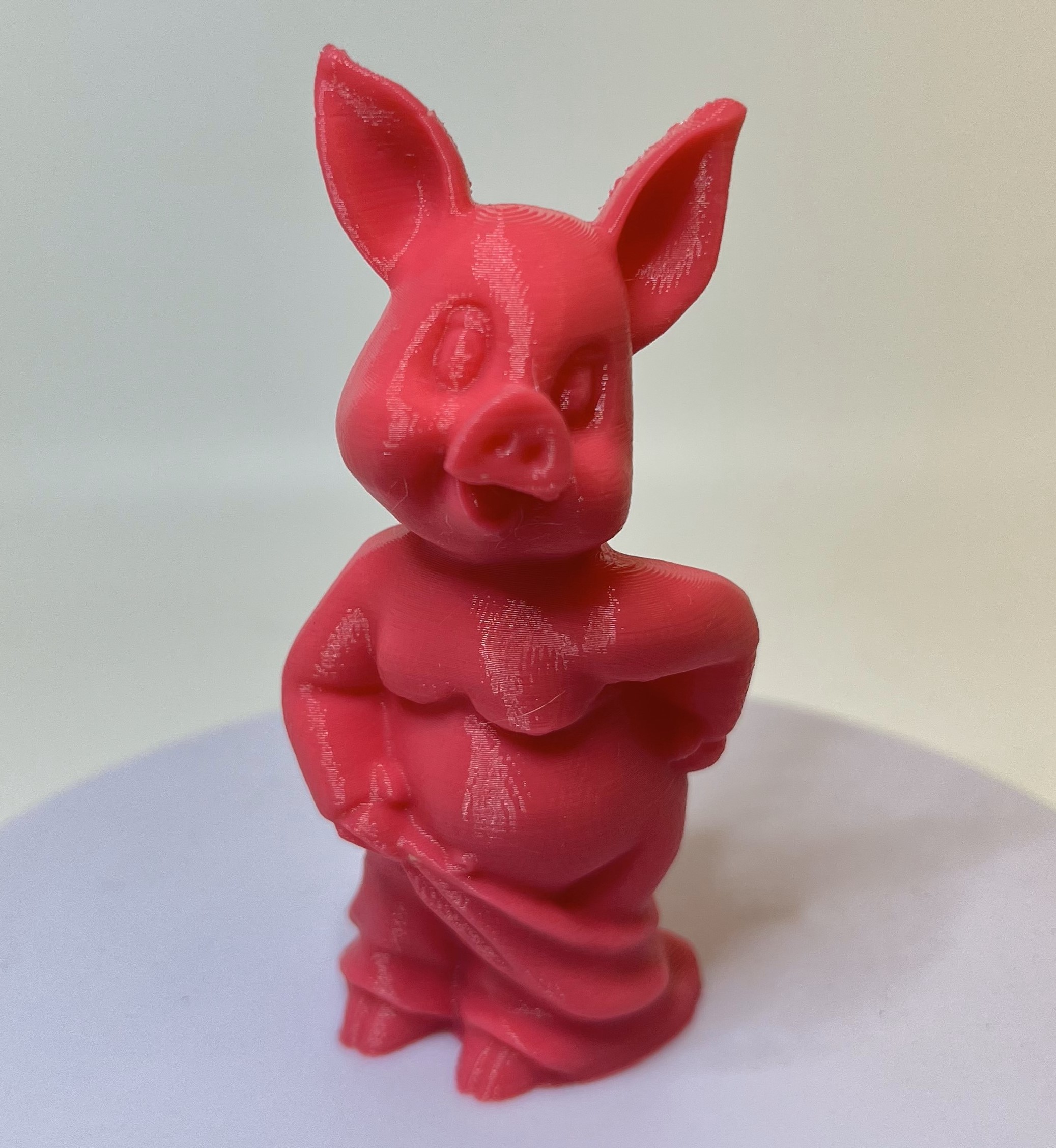 Pig Towel