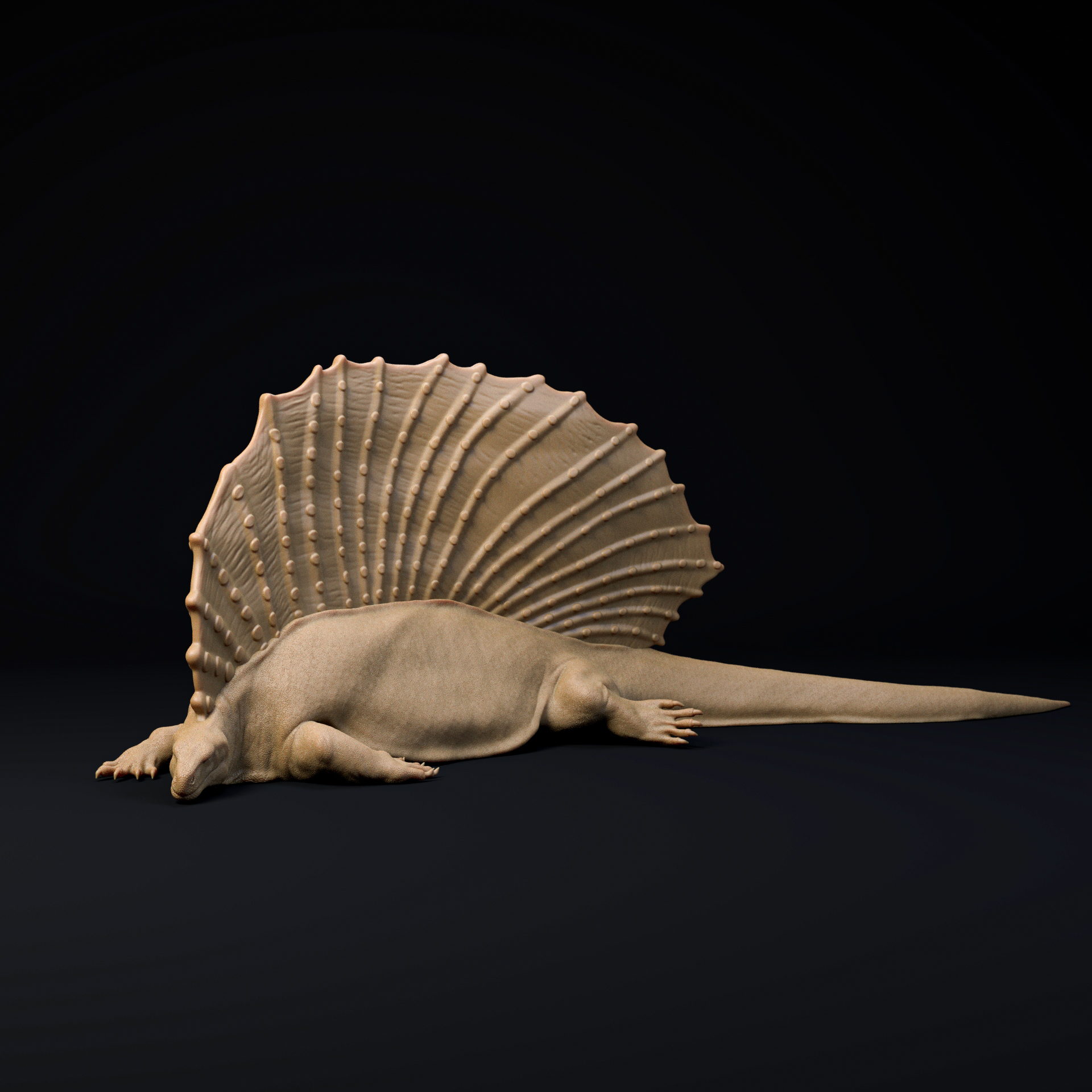 Edaphosaurus resting 1-35 scale pre-supported synapsid FREE model