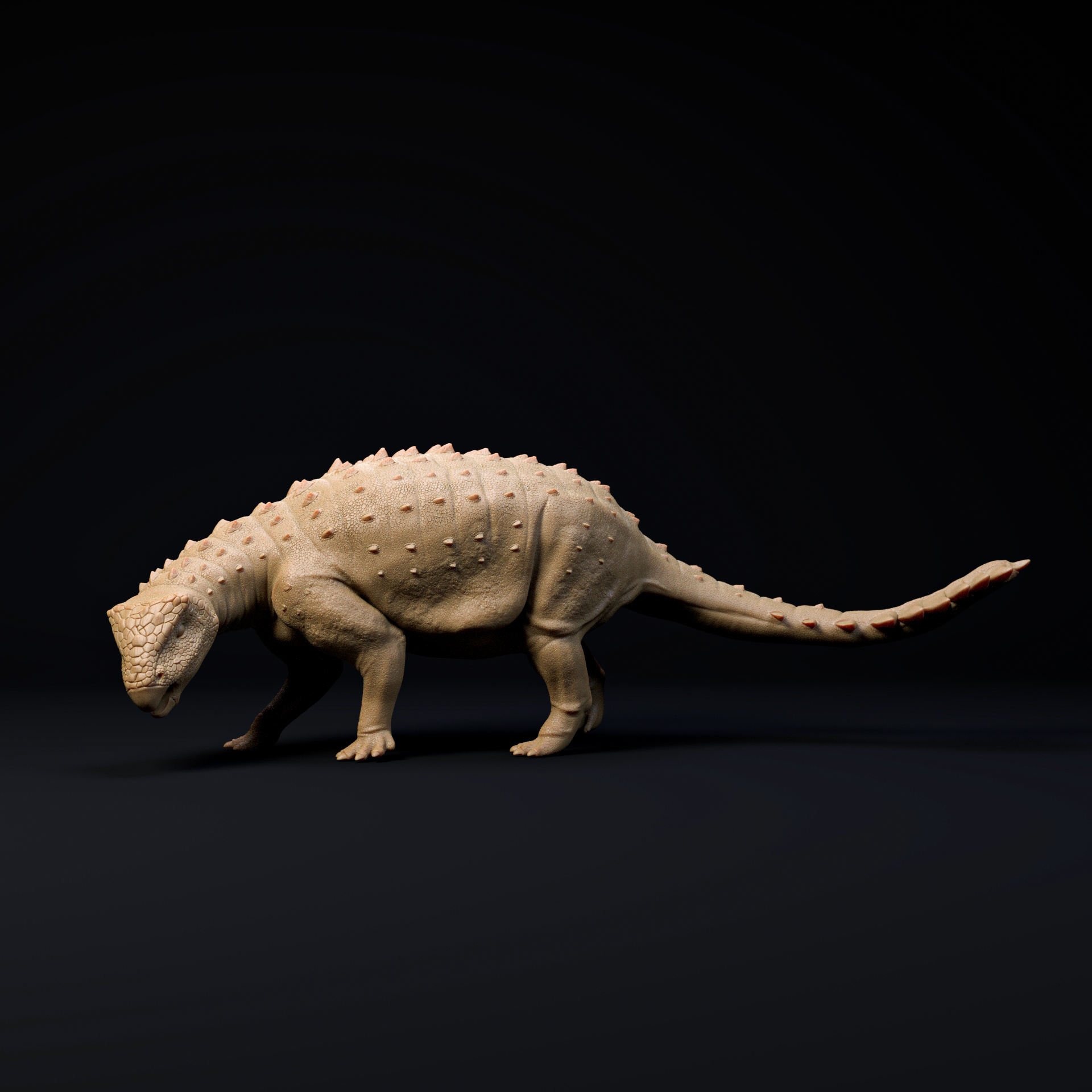 Stegouros looking down 1-35 scale pre-supported armoured dinosaur