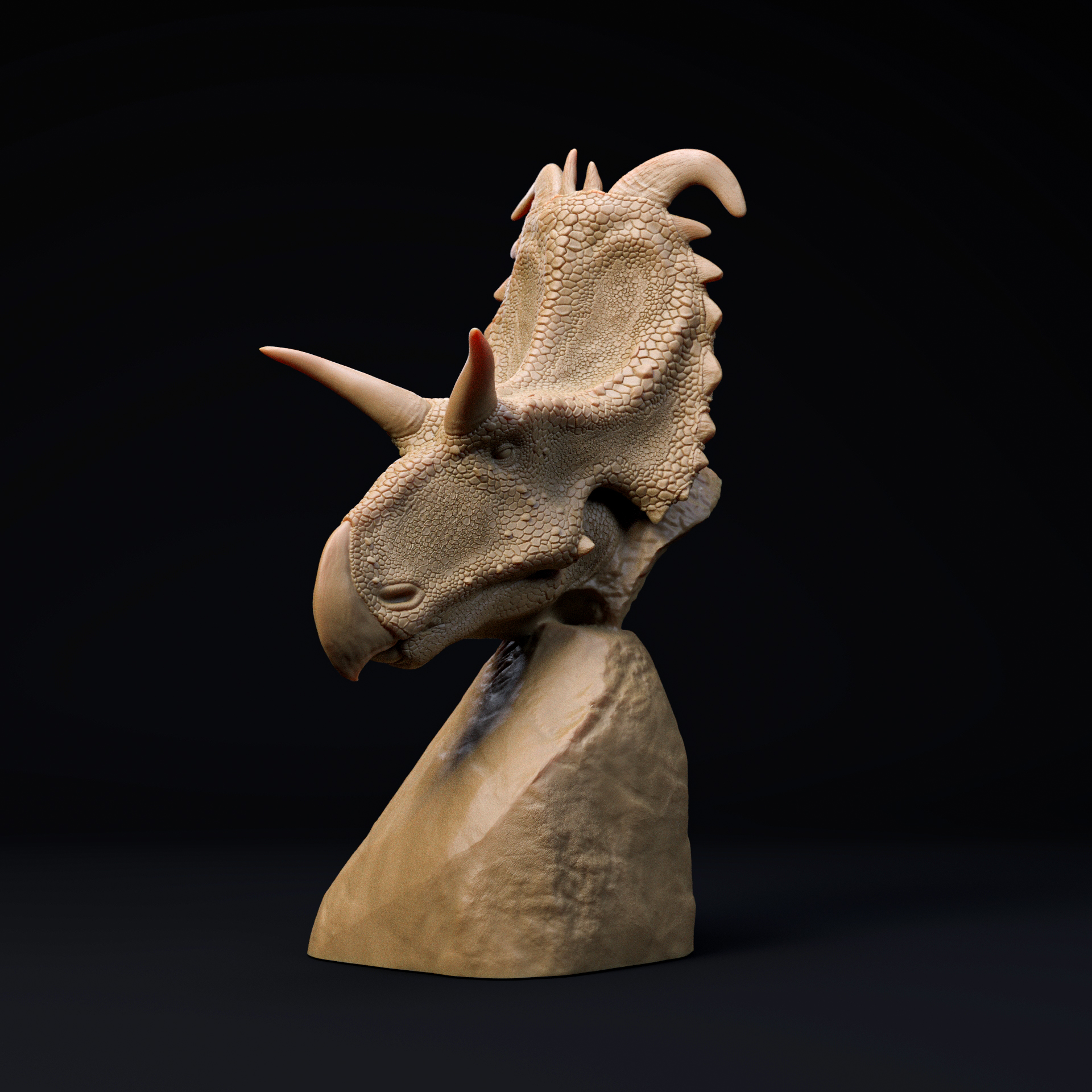 Lokiceratops bust - pre supported