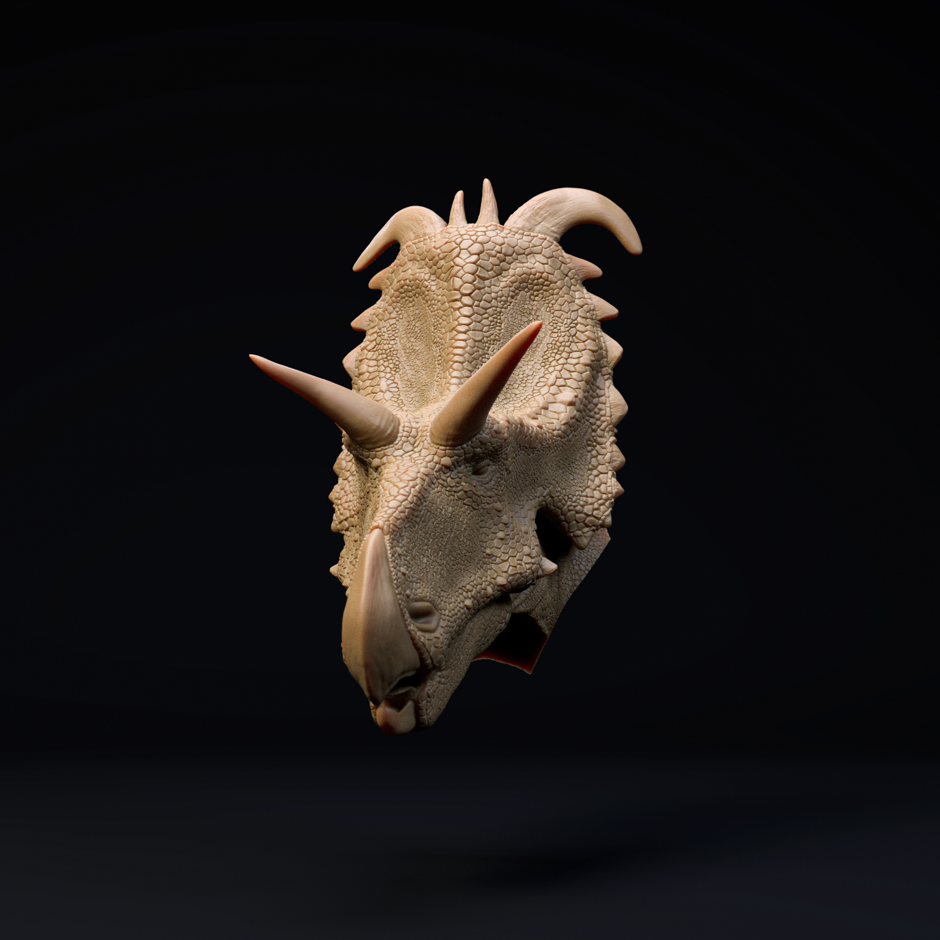 Lokiceratops mount-head