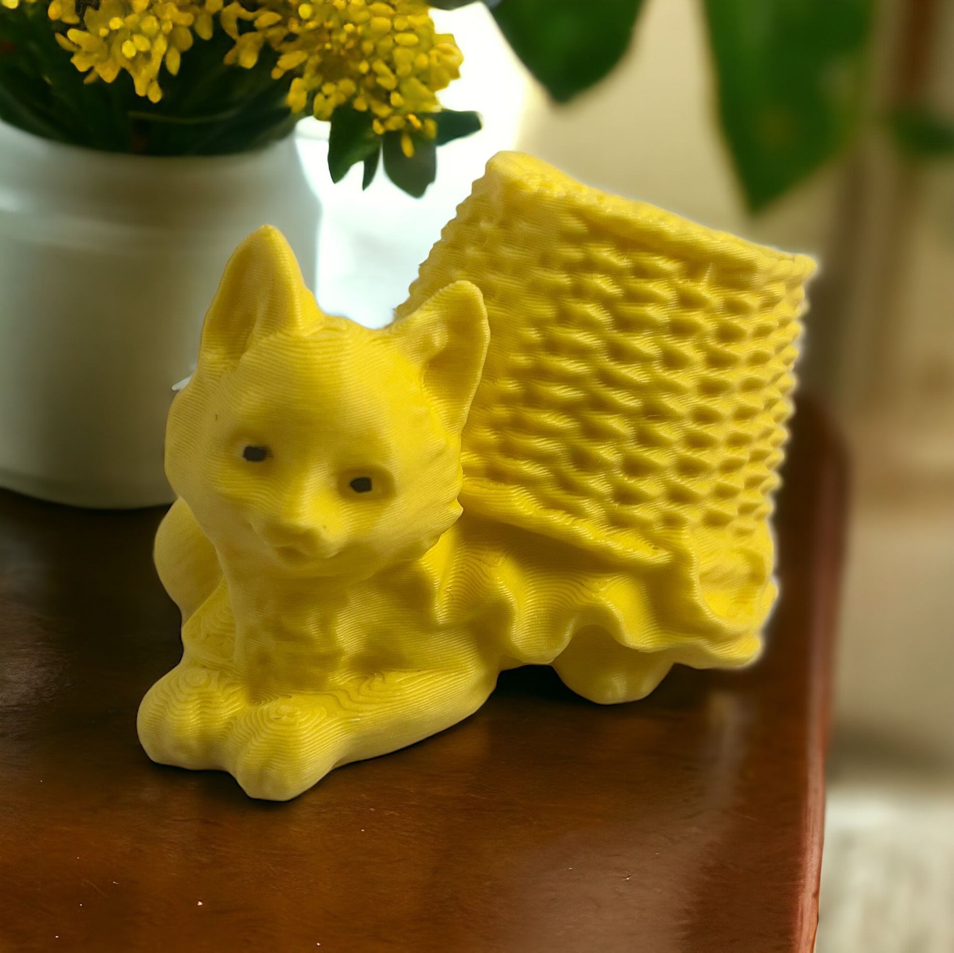 Cat basket