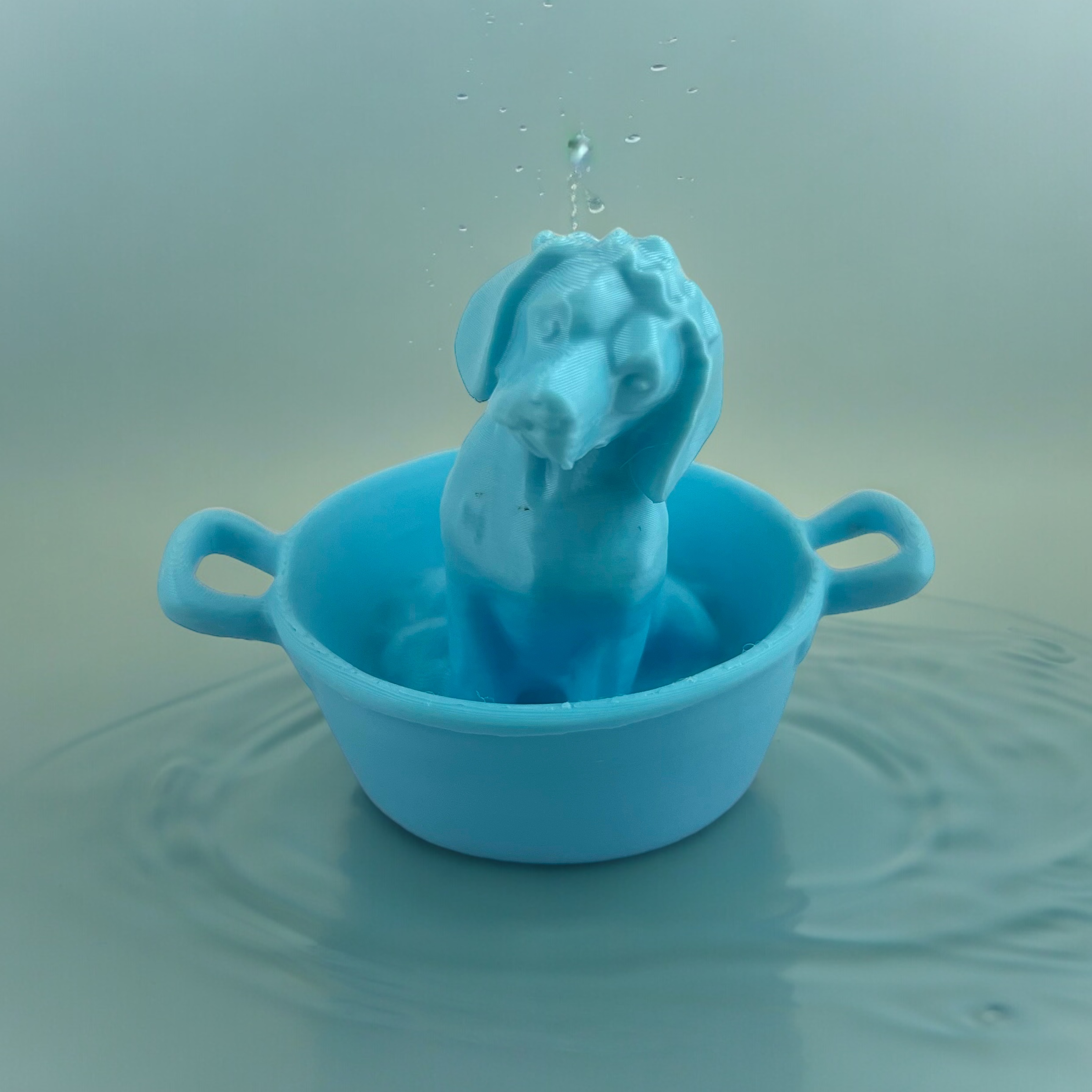 Dog takes a bath
