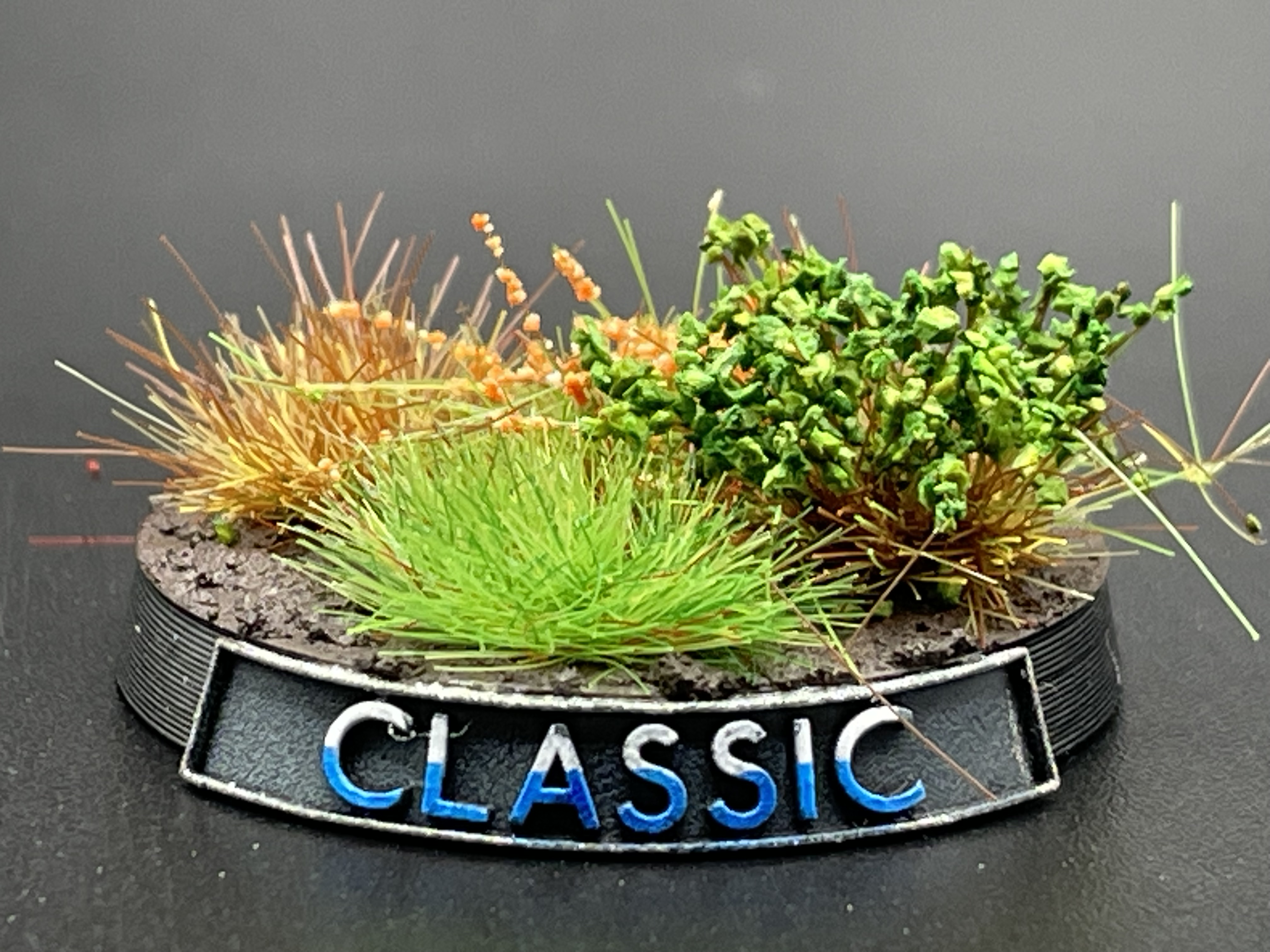 Classic Bordered Name Plate Builder