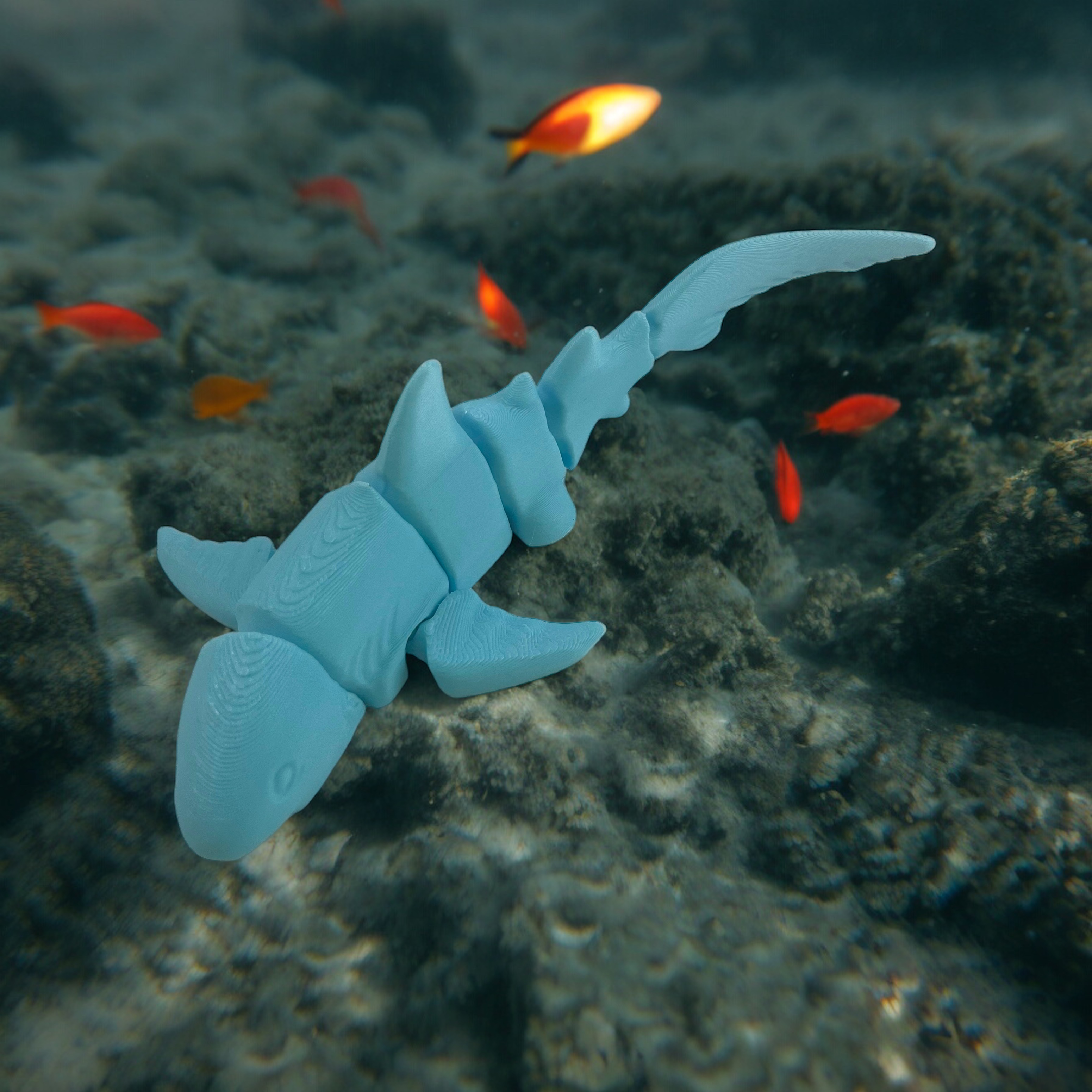 Shark Flexy