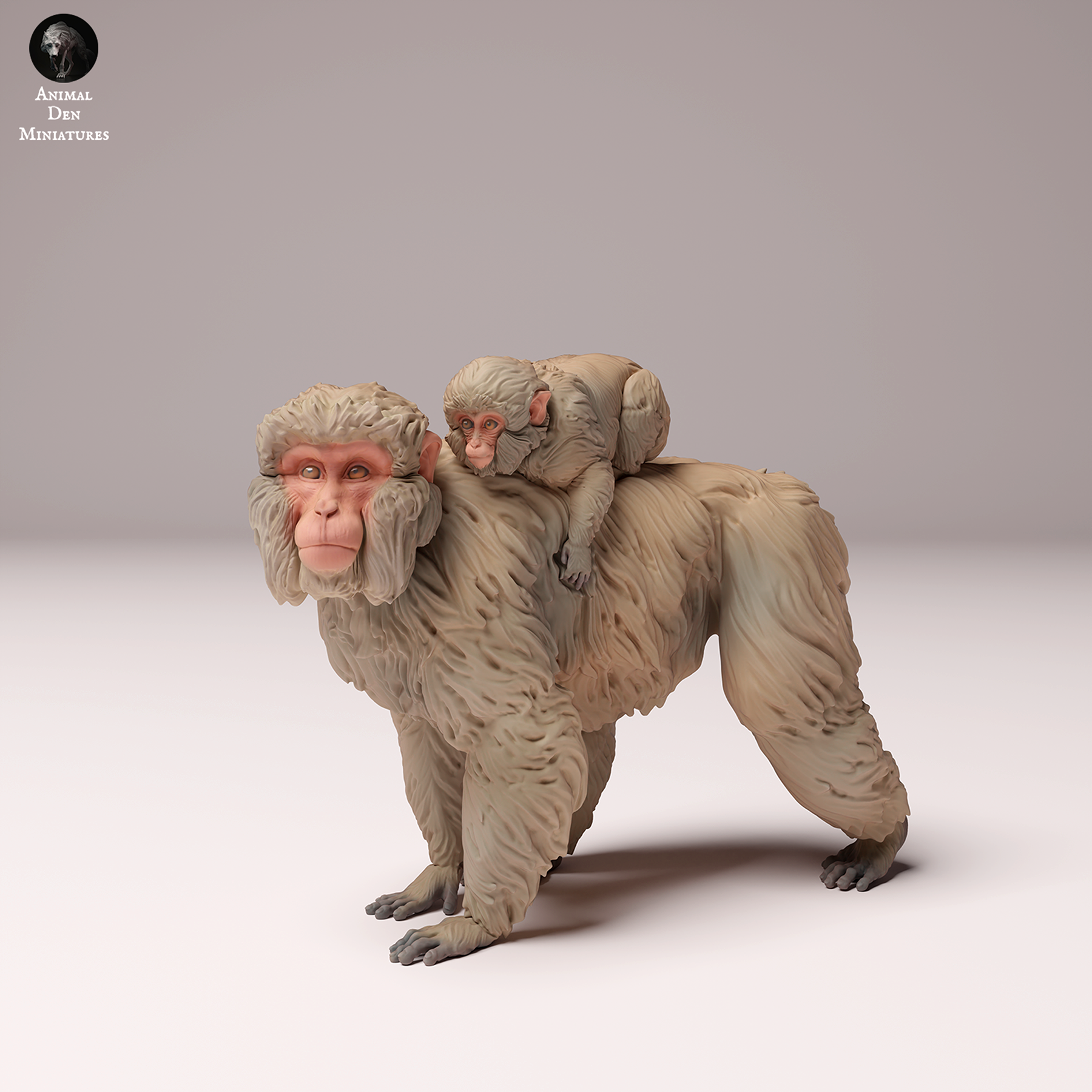 Japanese Macaque Female and Infant