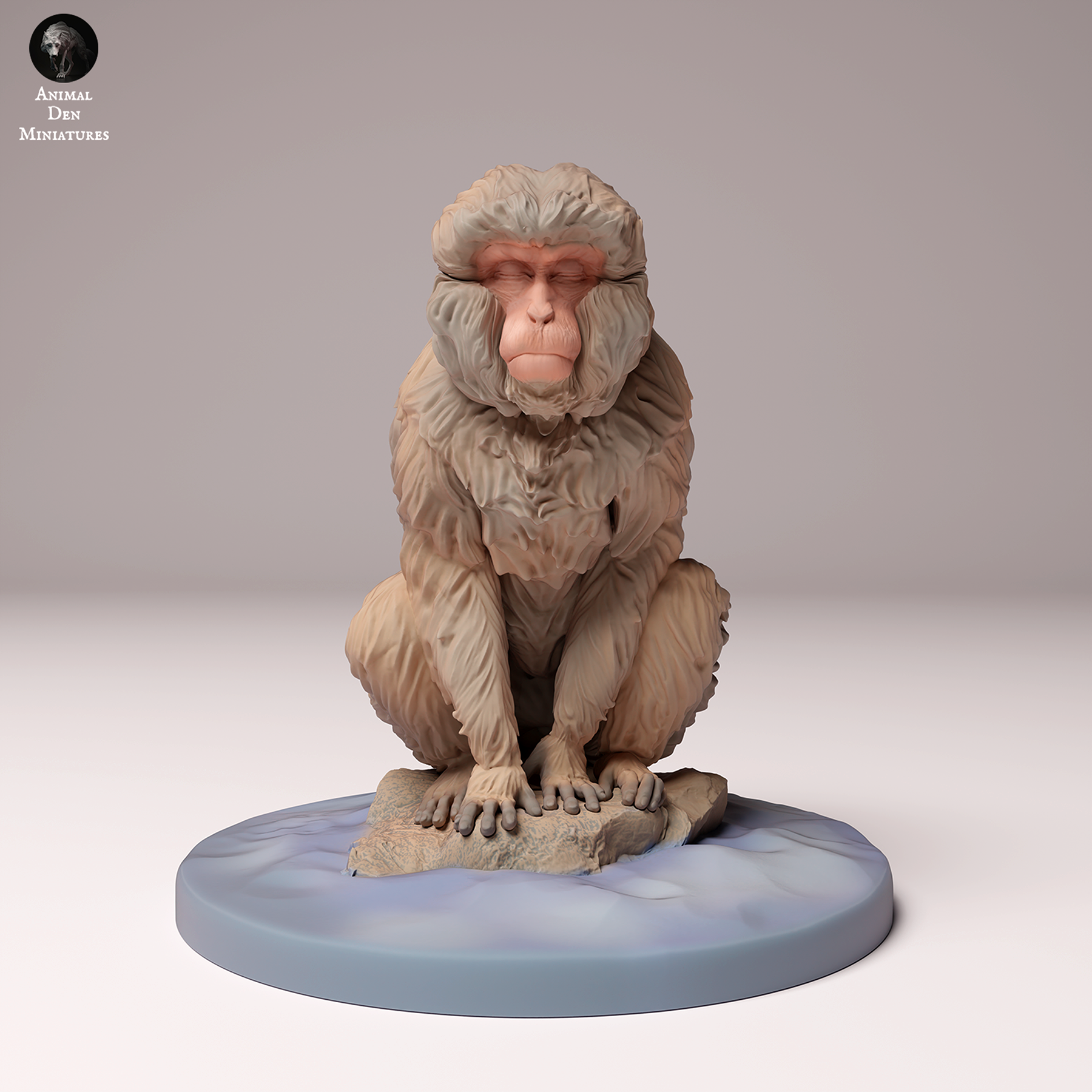 Japanese Macaque Sitting