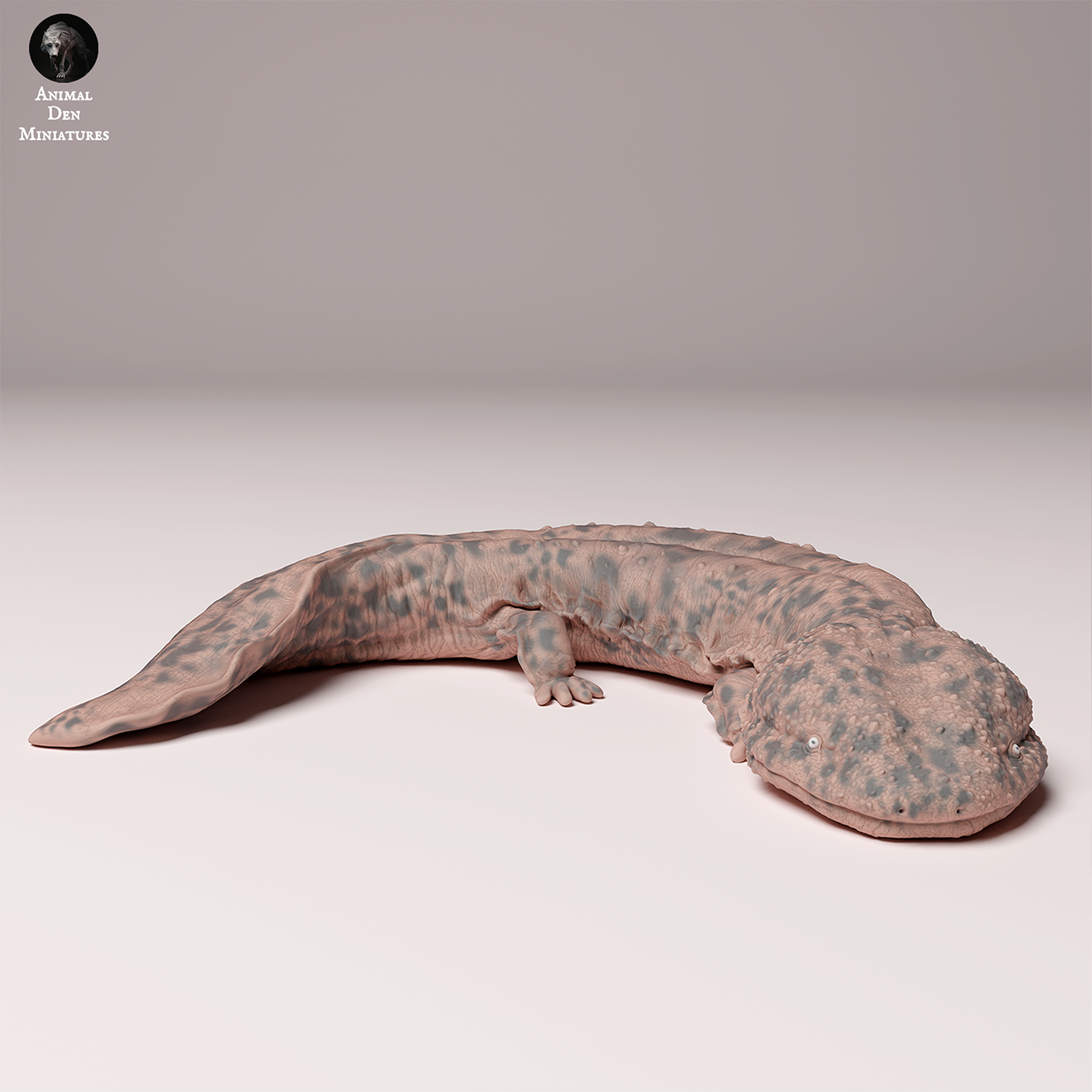 Japanese Giant Salamander