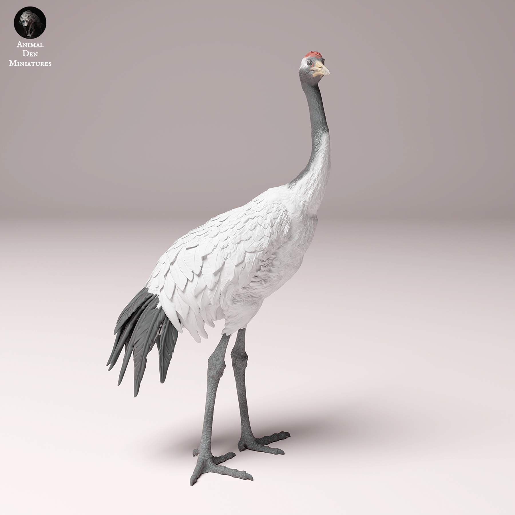 Red-Crowned Crane