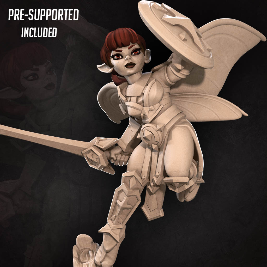 Pixie Paladin