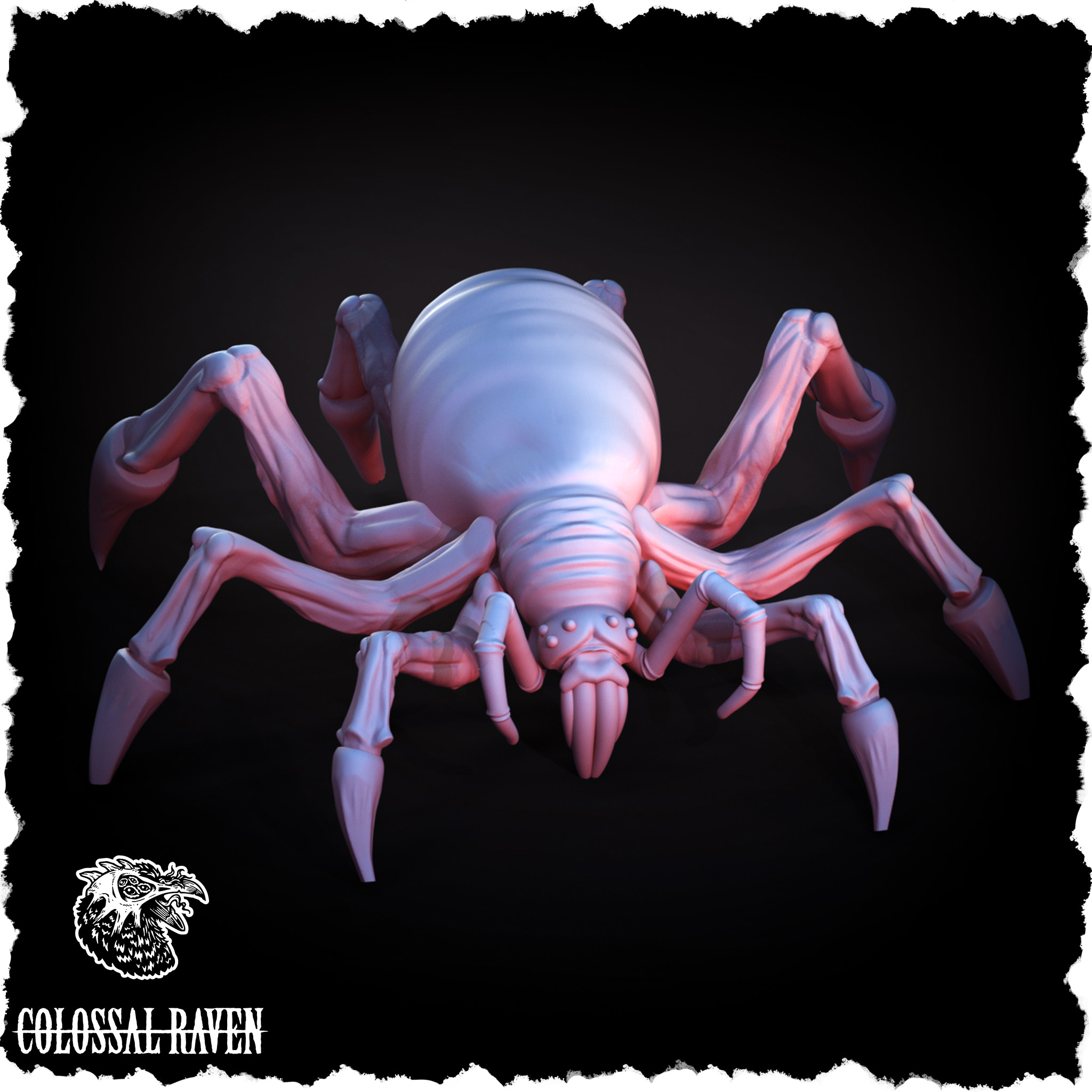 Spider_bug