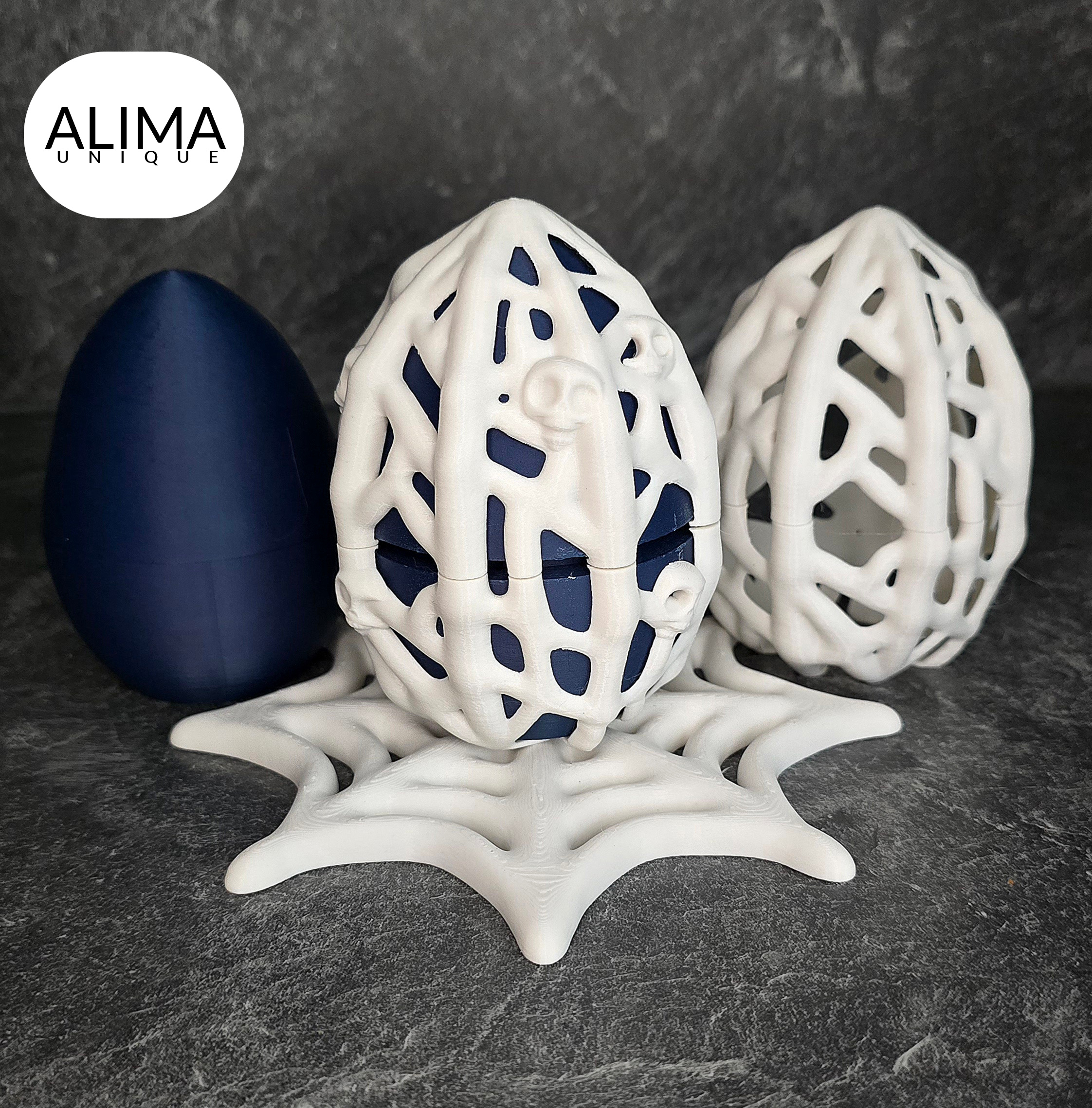Dragon - spider web egg