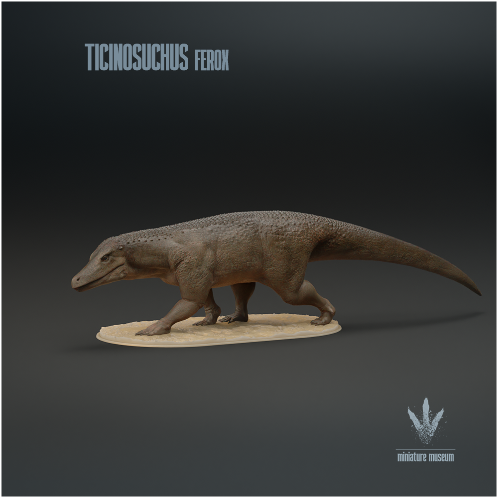 Ticinosuchus ferox : The Ticino Crocodile