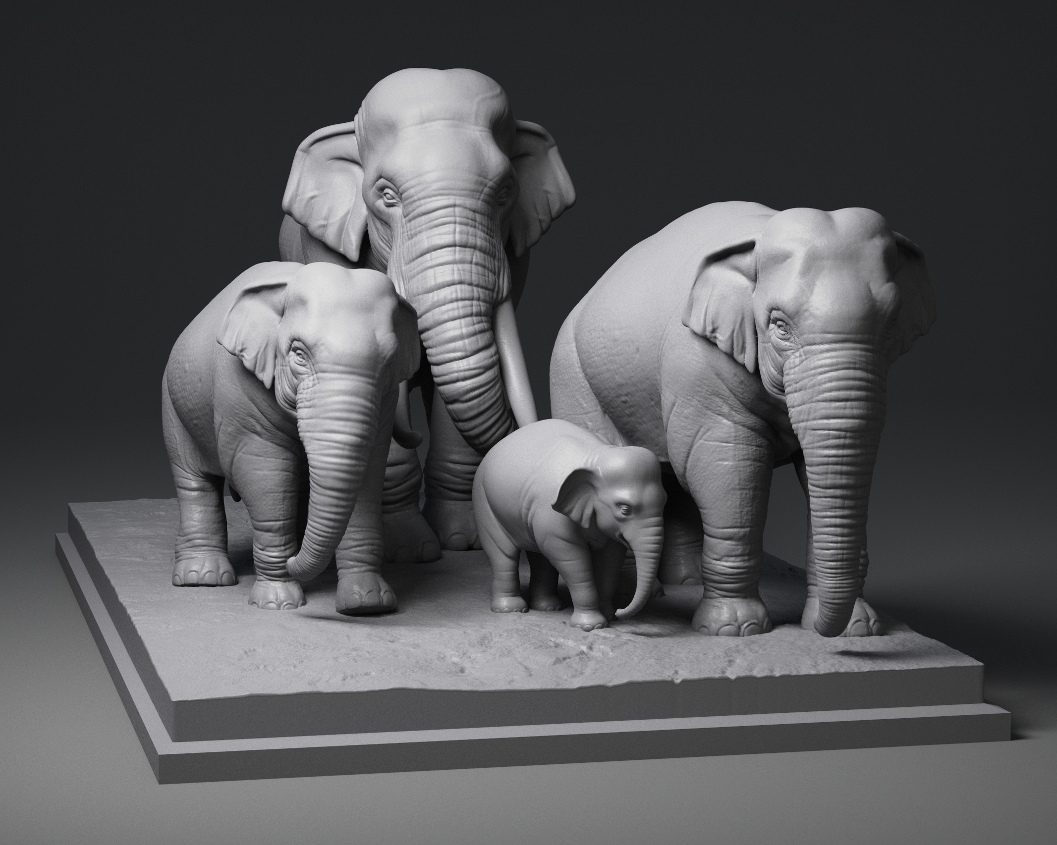 Elephant family