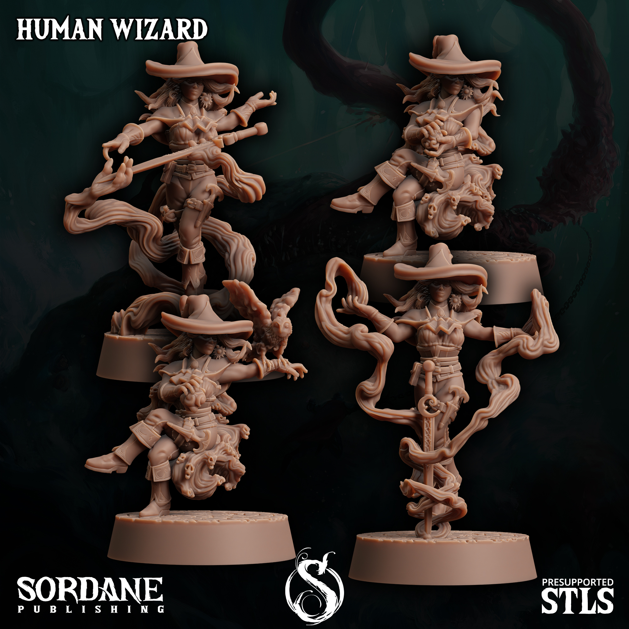 Human Wizard