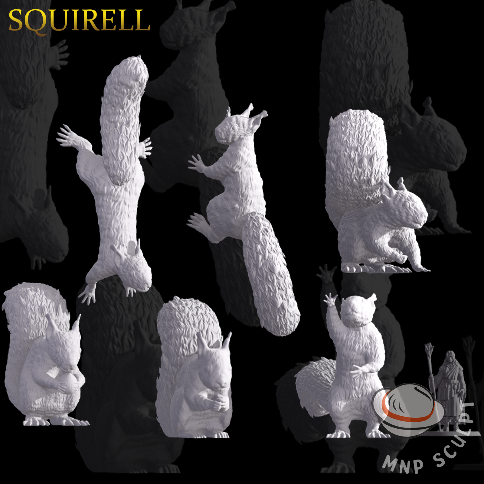 Squirell