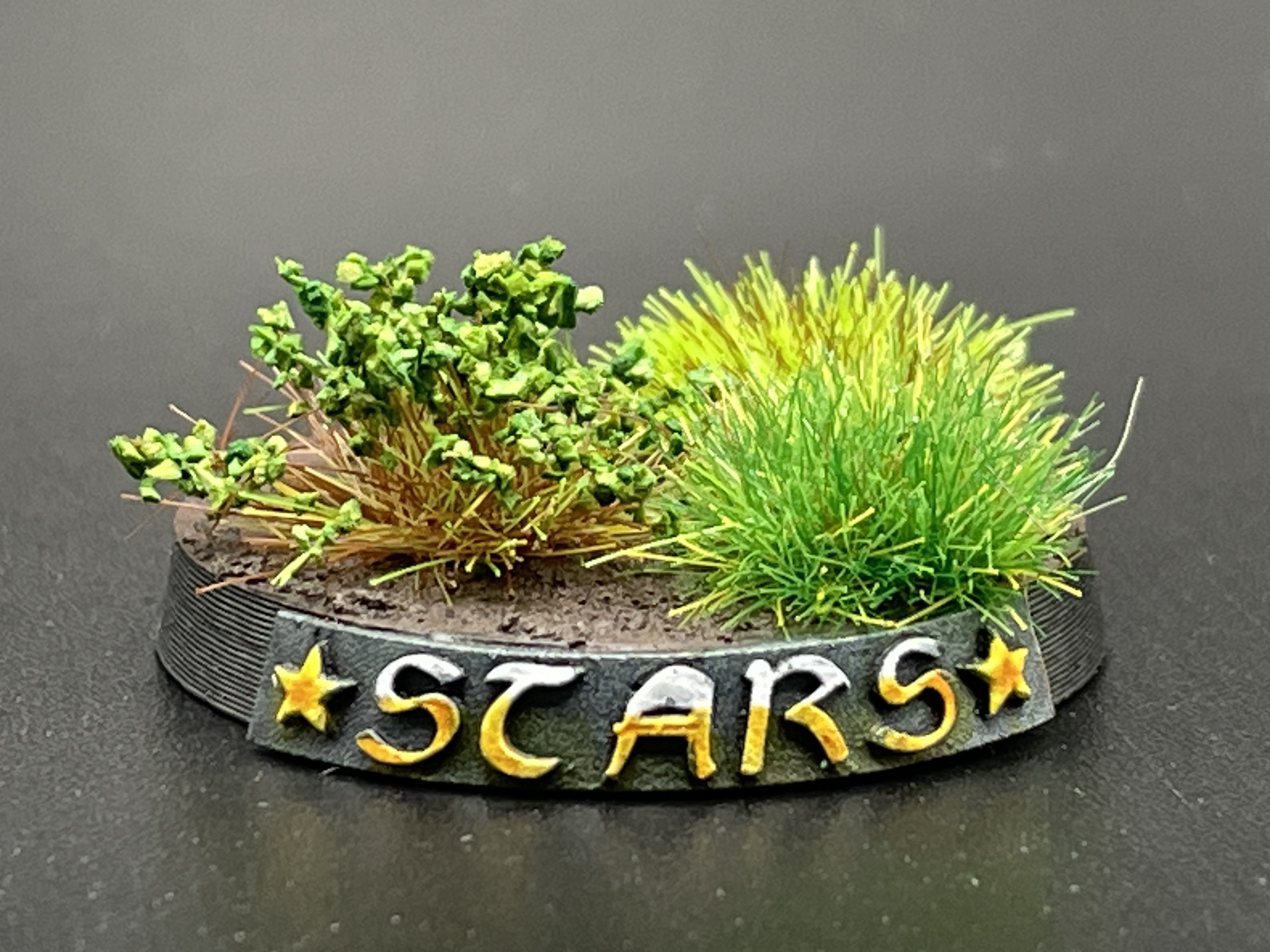 Star Motif Name Plate Builder