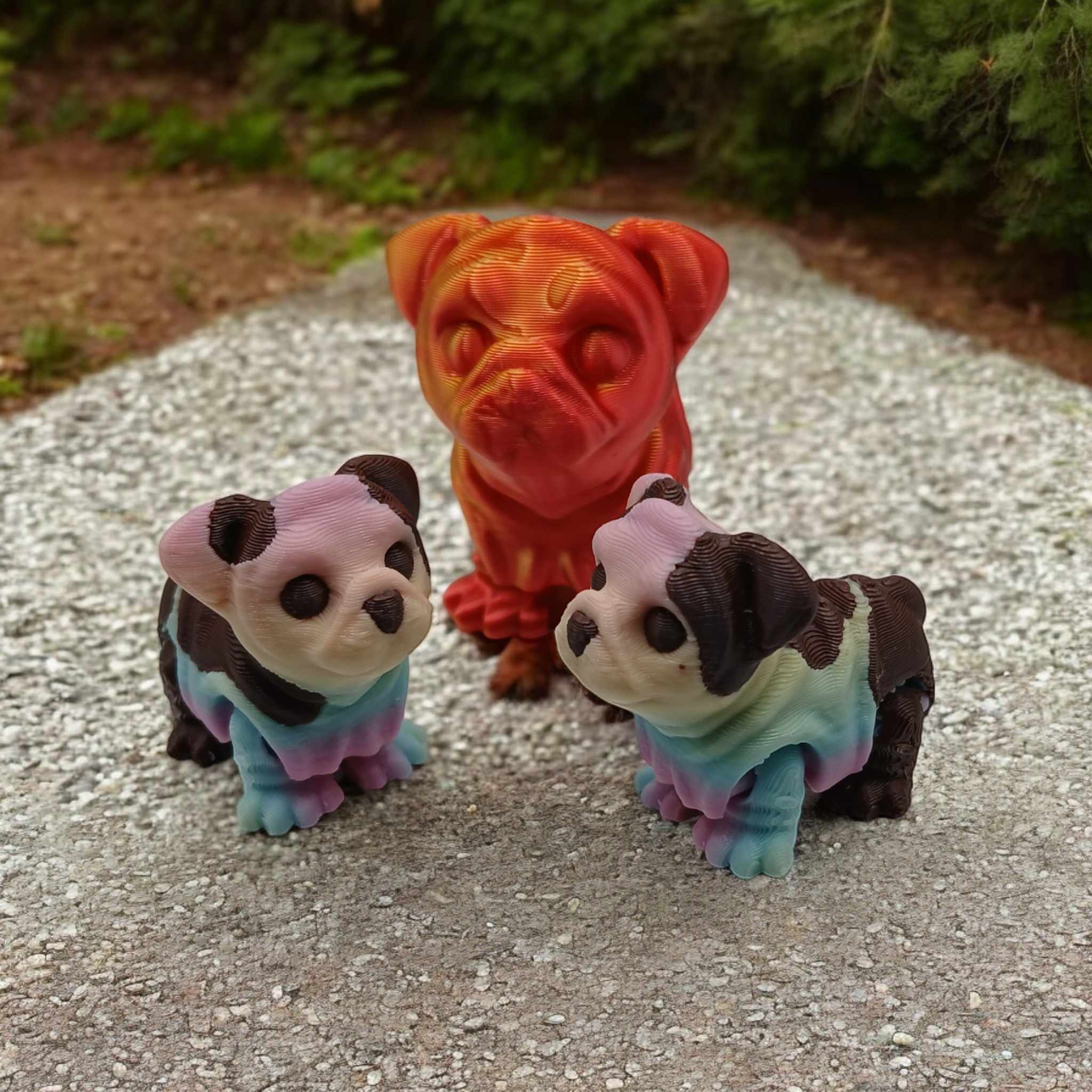 English Bulldog Pup
