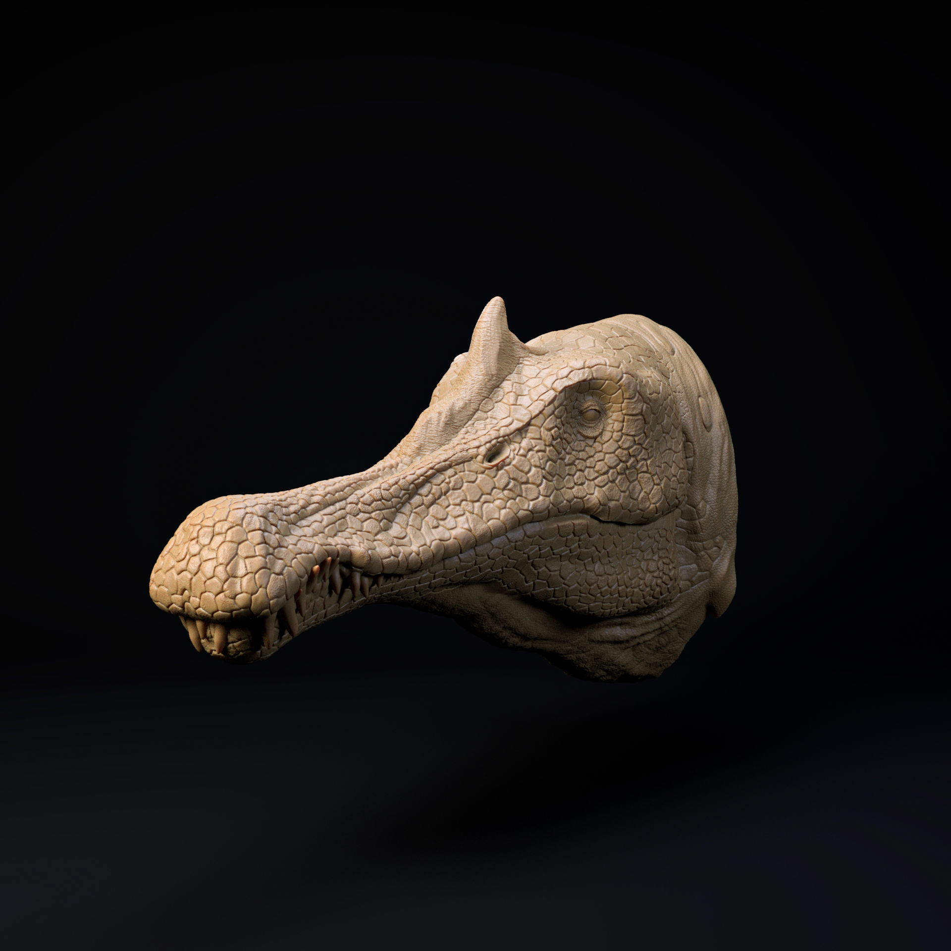 Spinosaurus mount-head