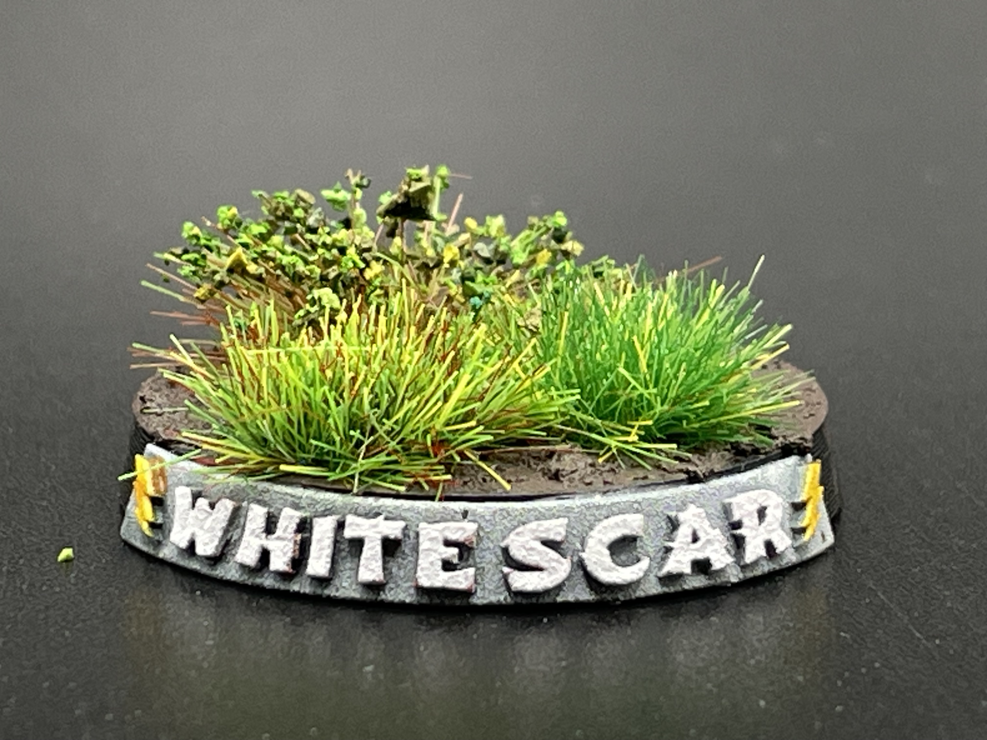 Lightning Strike / Wight Scar / Scar Brother Name Plate Builder