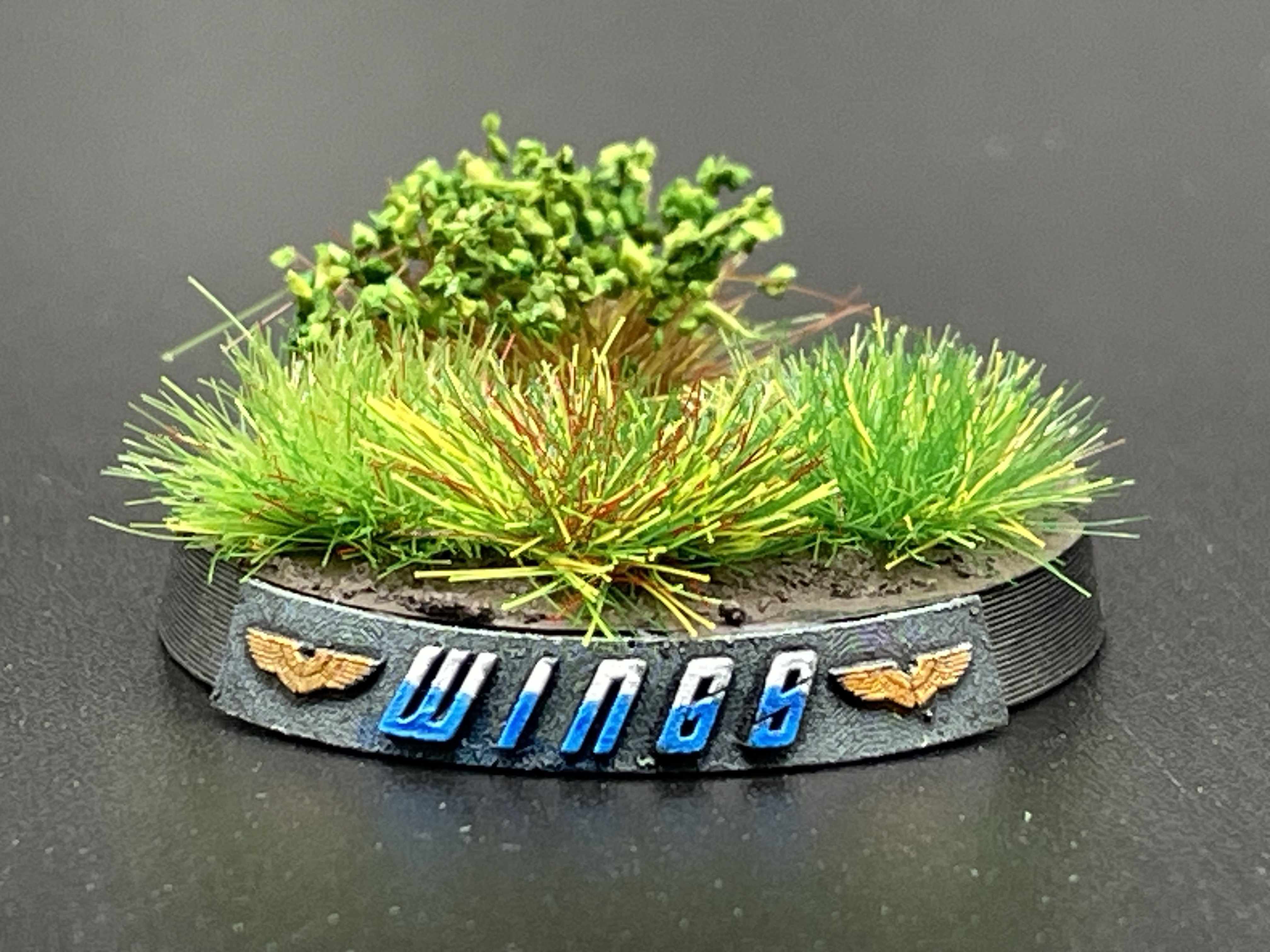 Empire Brother / Empire Wings Name Plate Builder