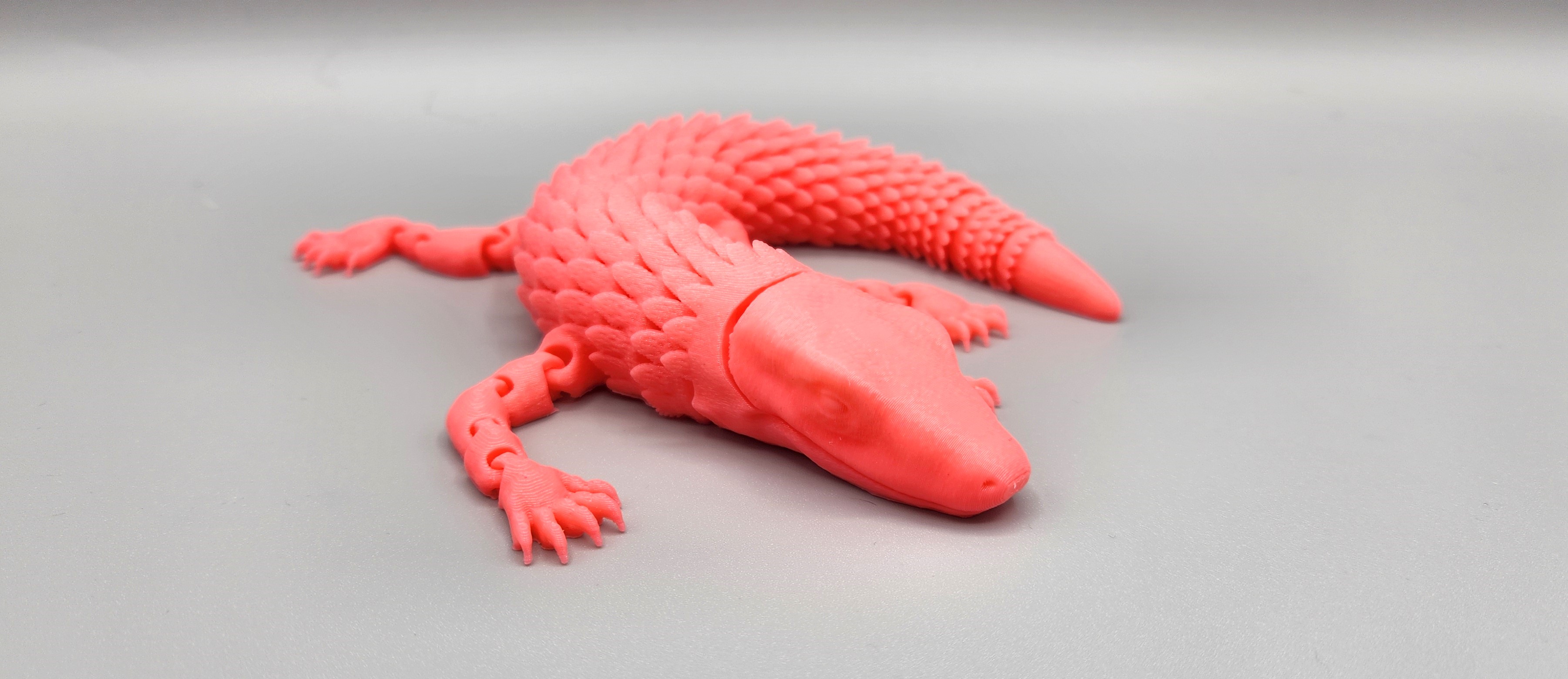 Flexi Komodo Dragon & Gecko