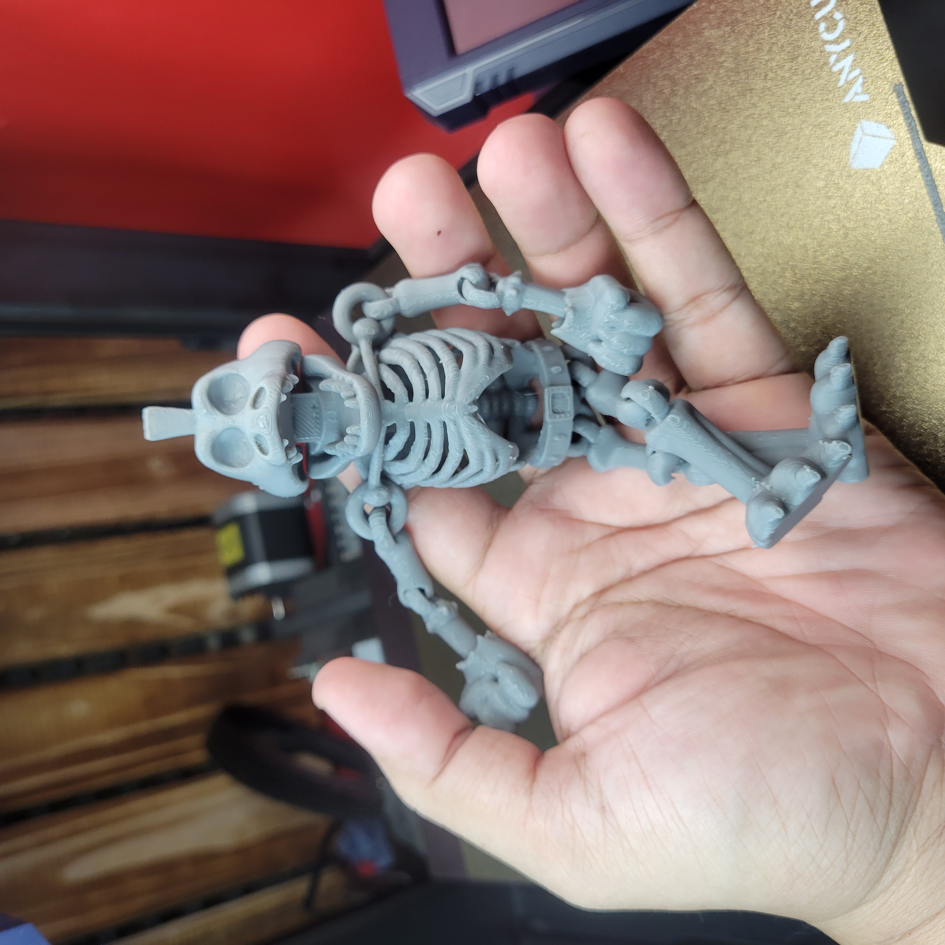SKULL MONTY / PRINT-IN-PLACE WITHOUT SUPPORT