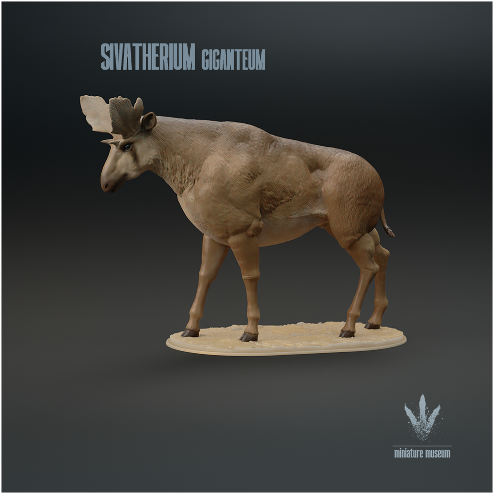 Sivatherium giganteum : The Shiva's Beast