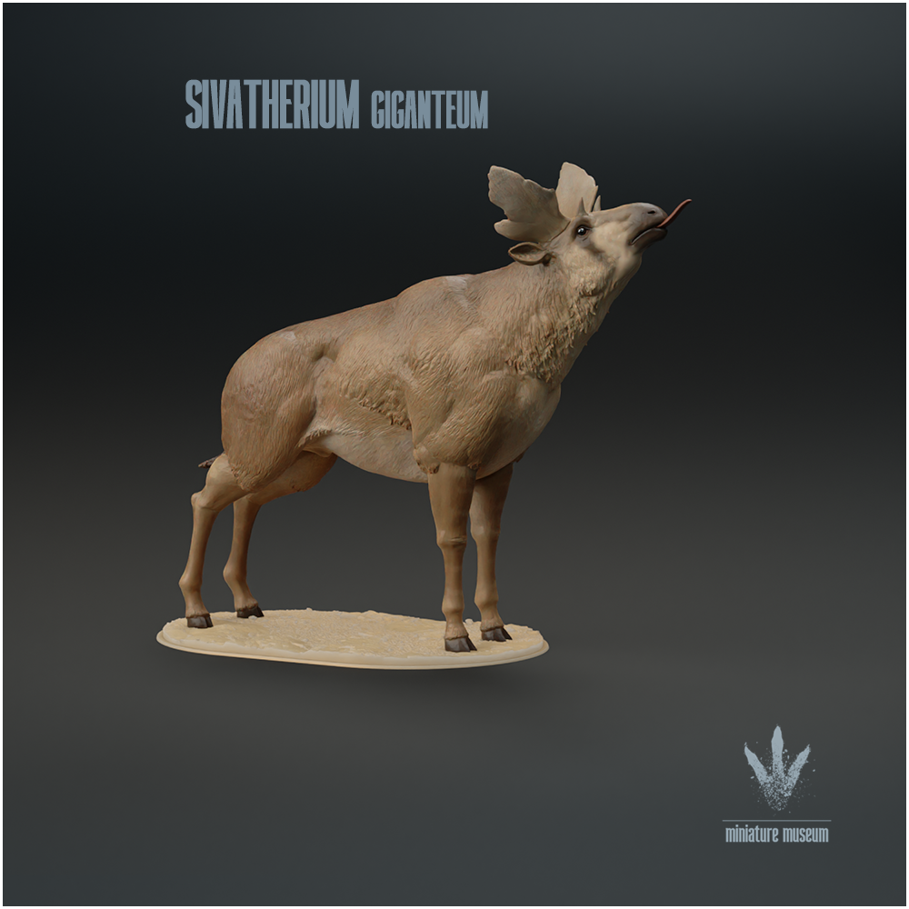 Sivatherium giganteum : Feeding