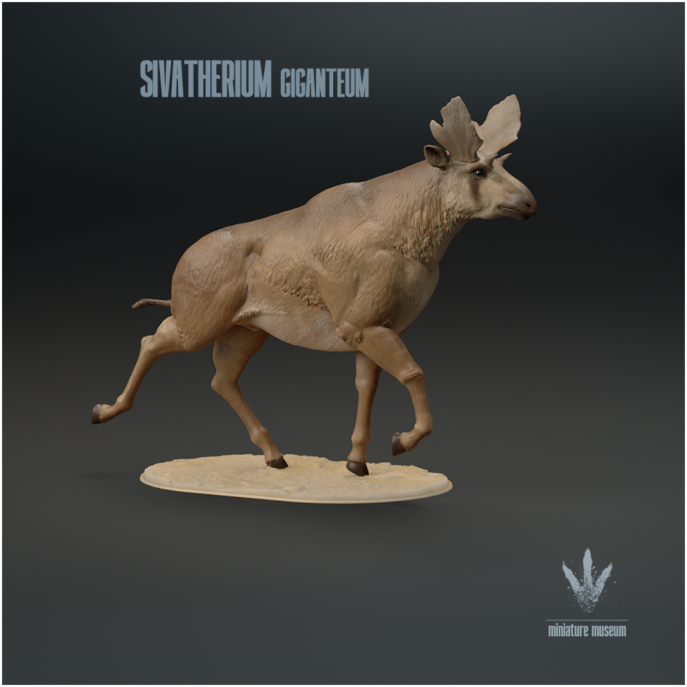 Sivatherium giganteum : Run